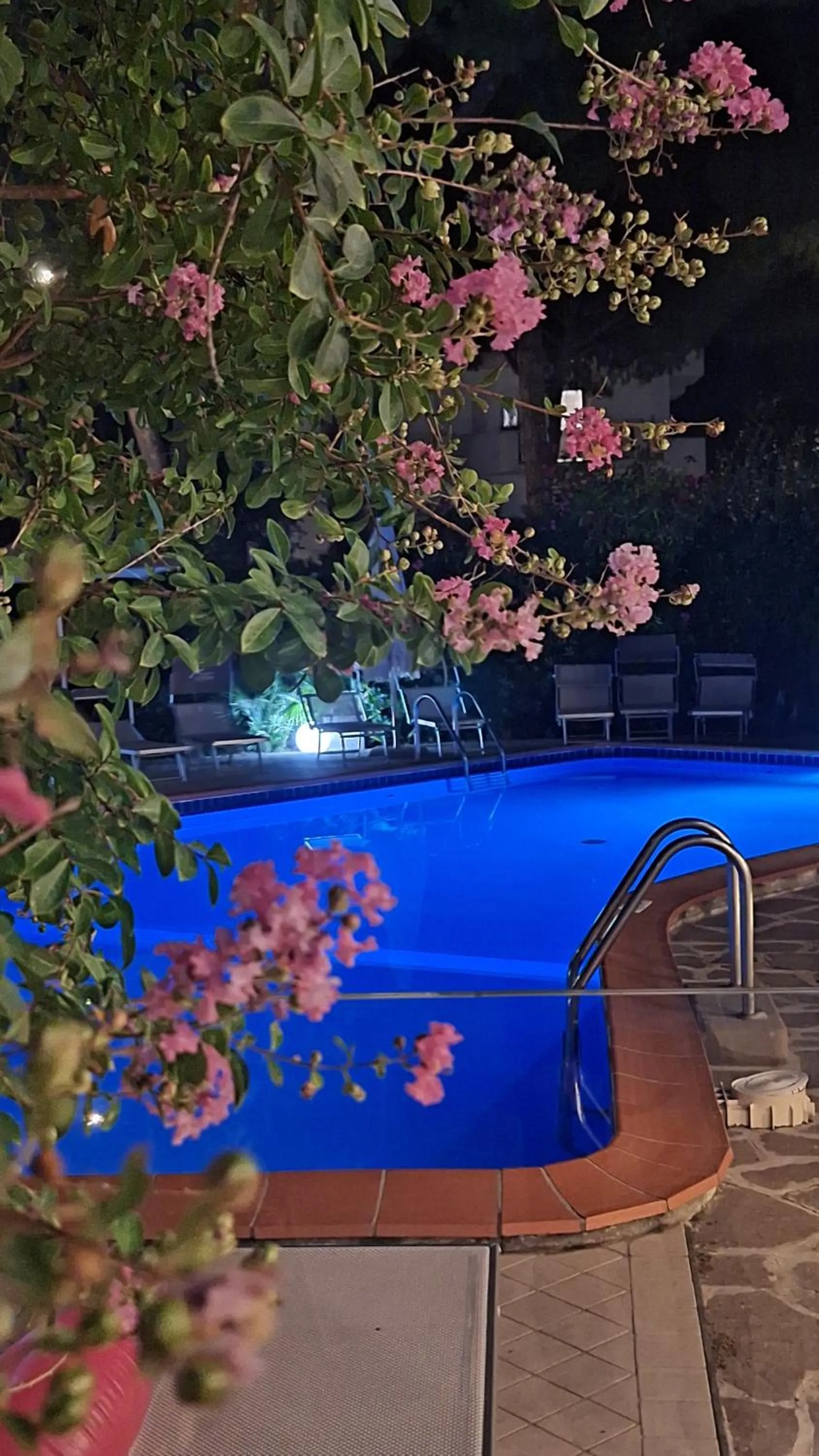 Swimming pool in Hotel Schiller