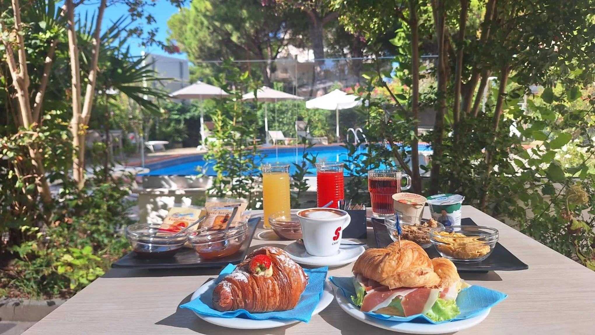 Garden in Hotel Schiller