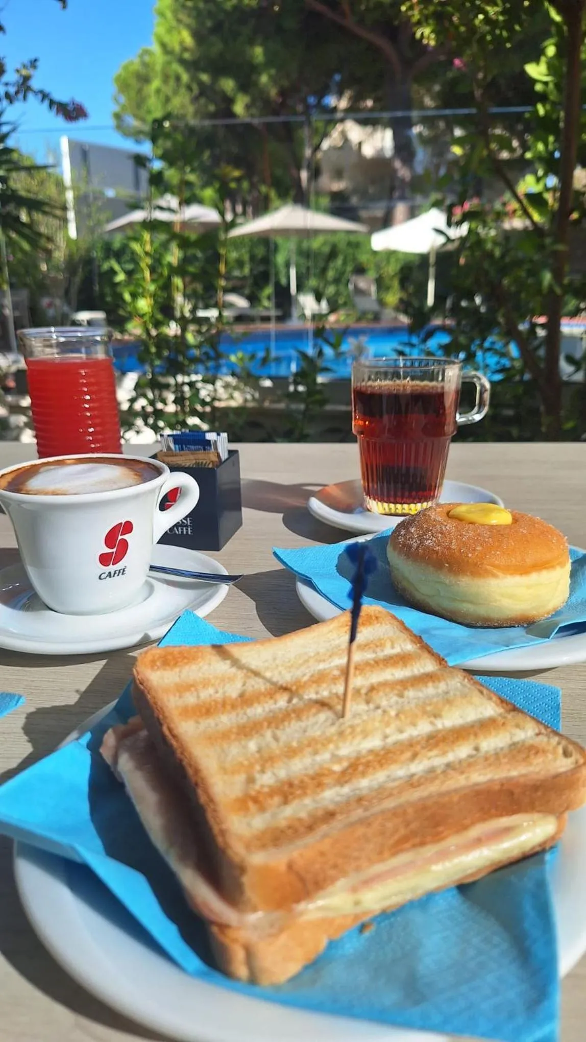 Swimming pool in Hotel Schiller
