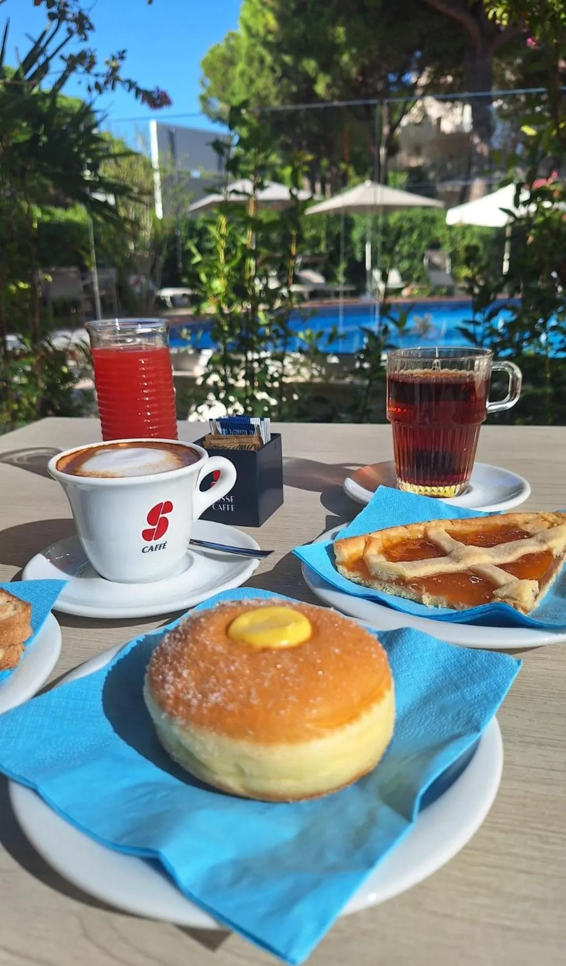 Swimming pool in Hotel Schiller