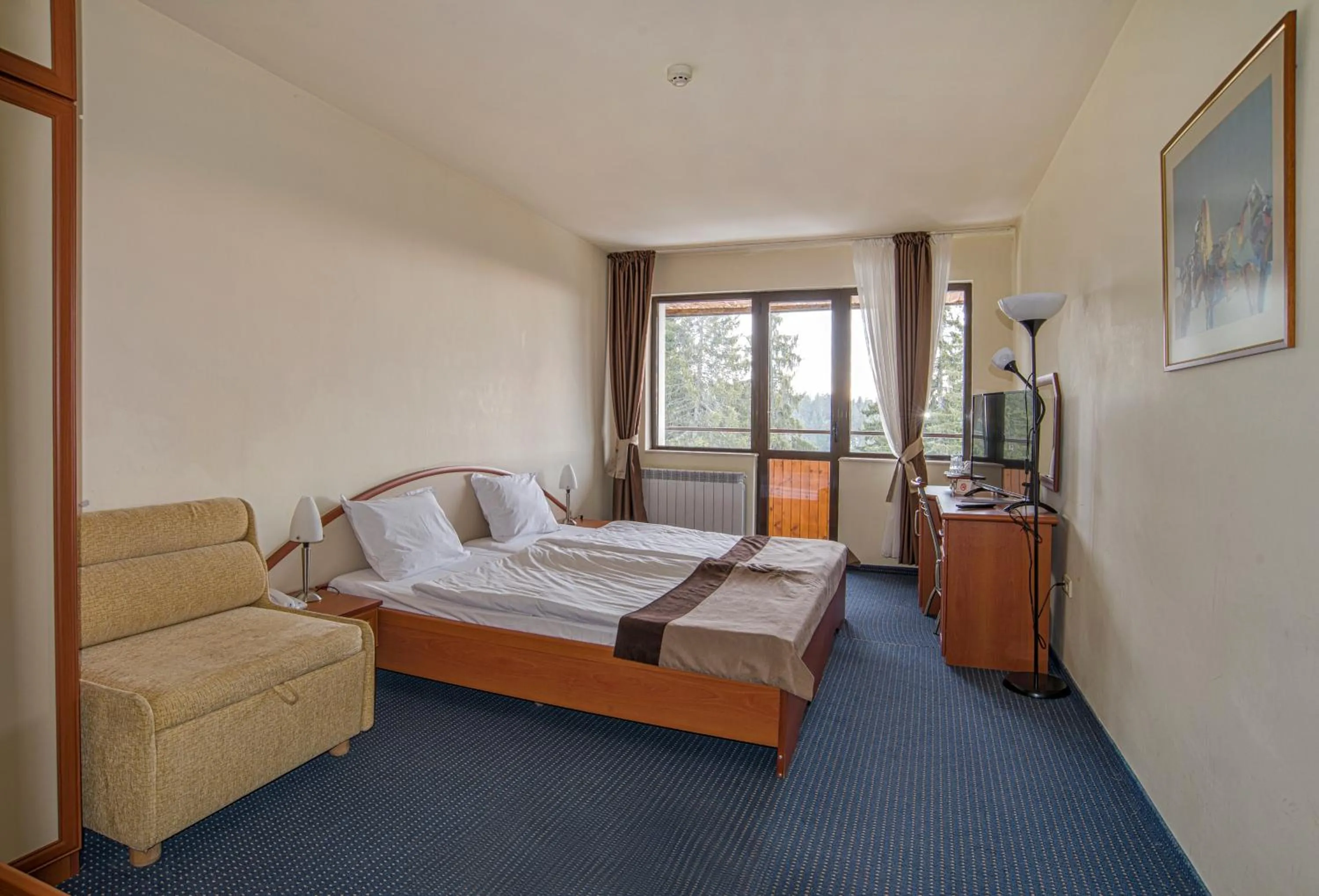 Photo of the whole room, Bed in Kamena Pamporovo