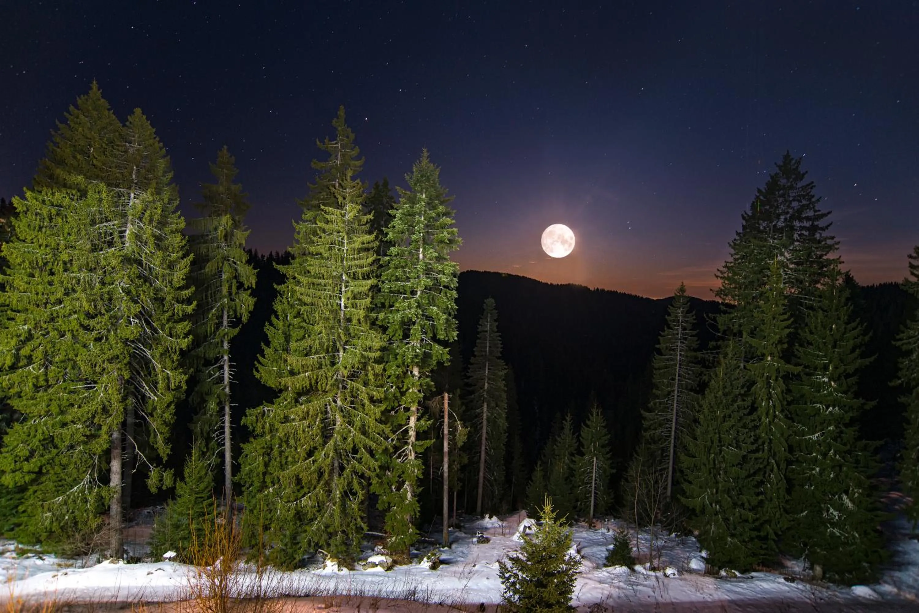 Natural landscape in Kamena Pamporovo