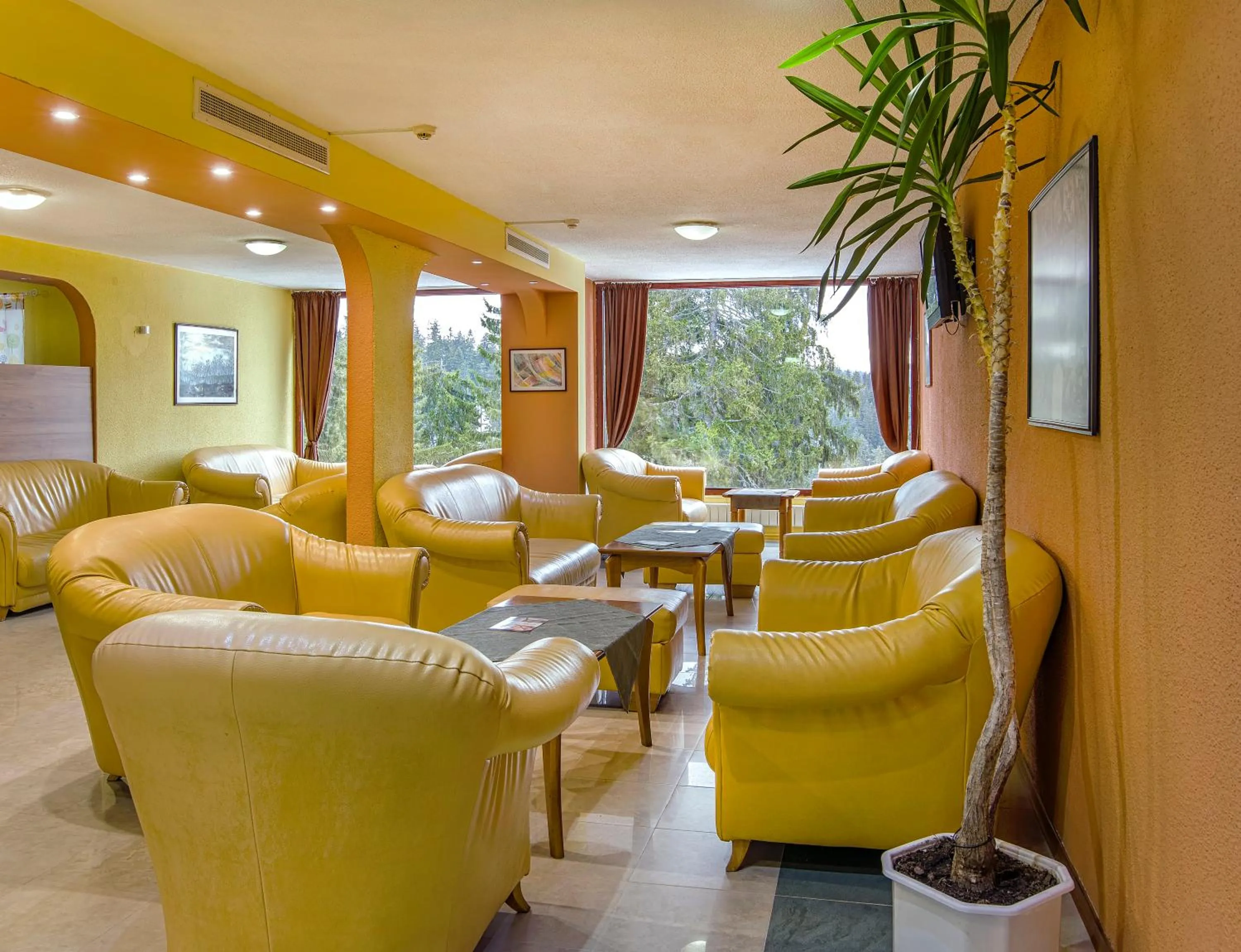 Lobby or reception in Kamena Pamporovo