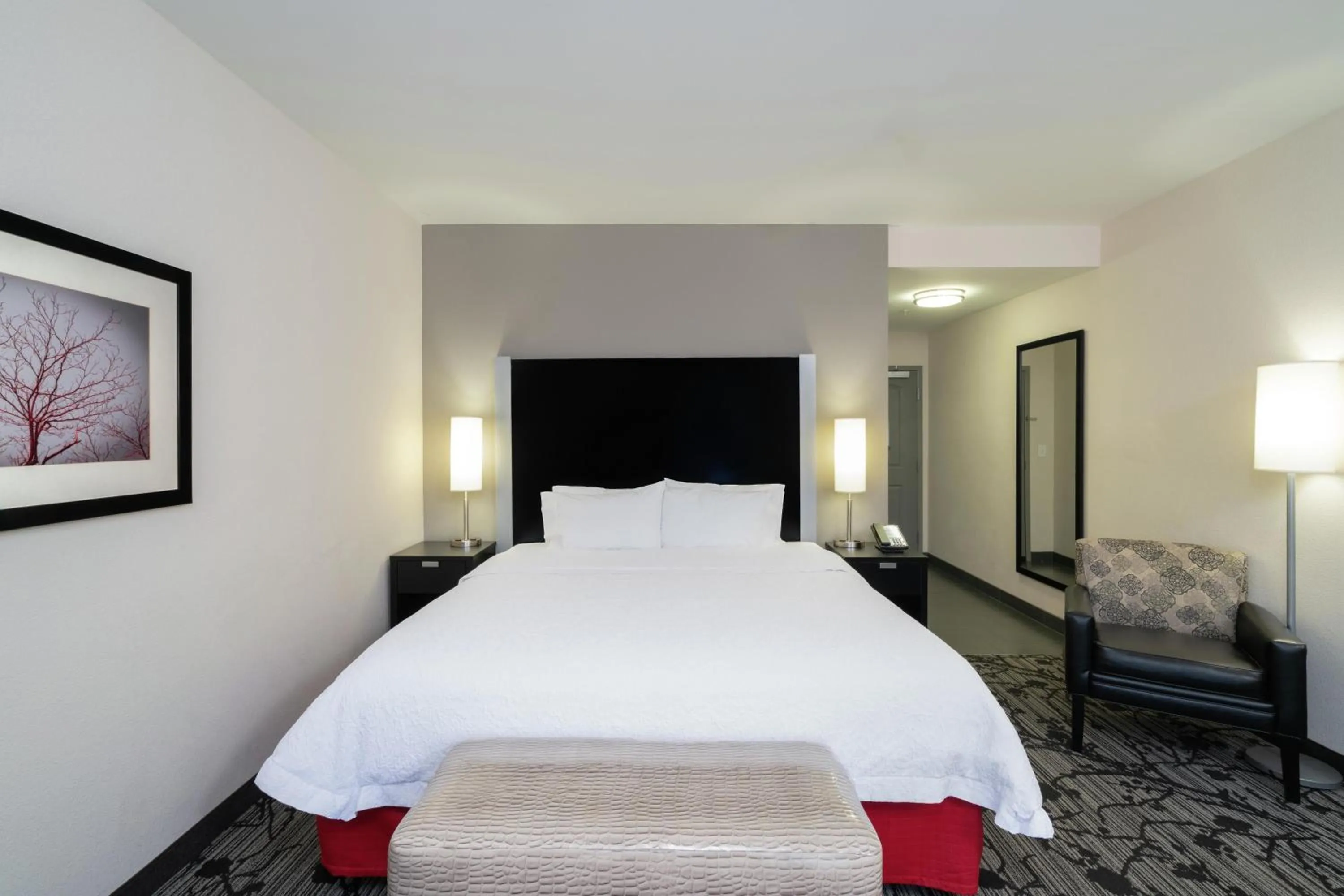 Photo of the whole room, Bed in Hampton Inn and Suites Roanoke Airport/Valley View Mall