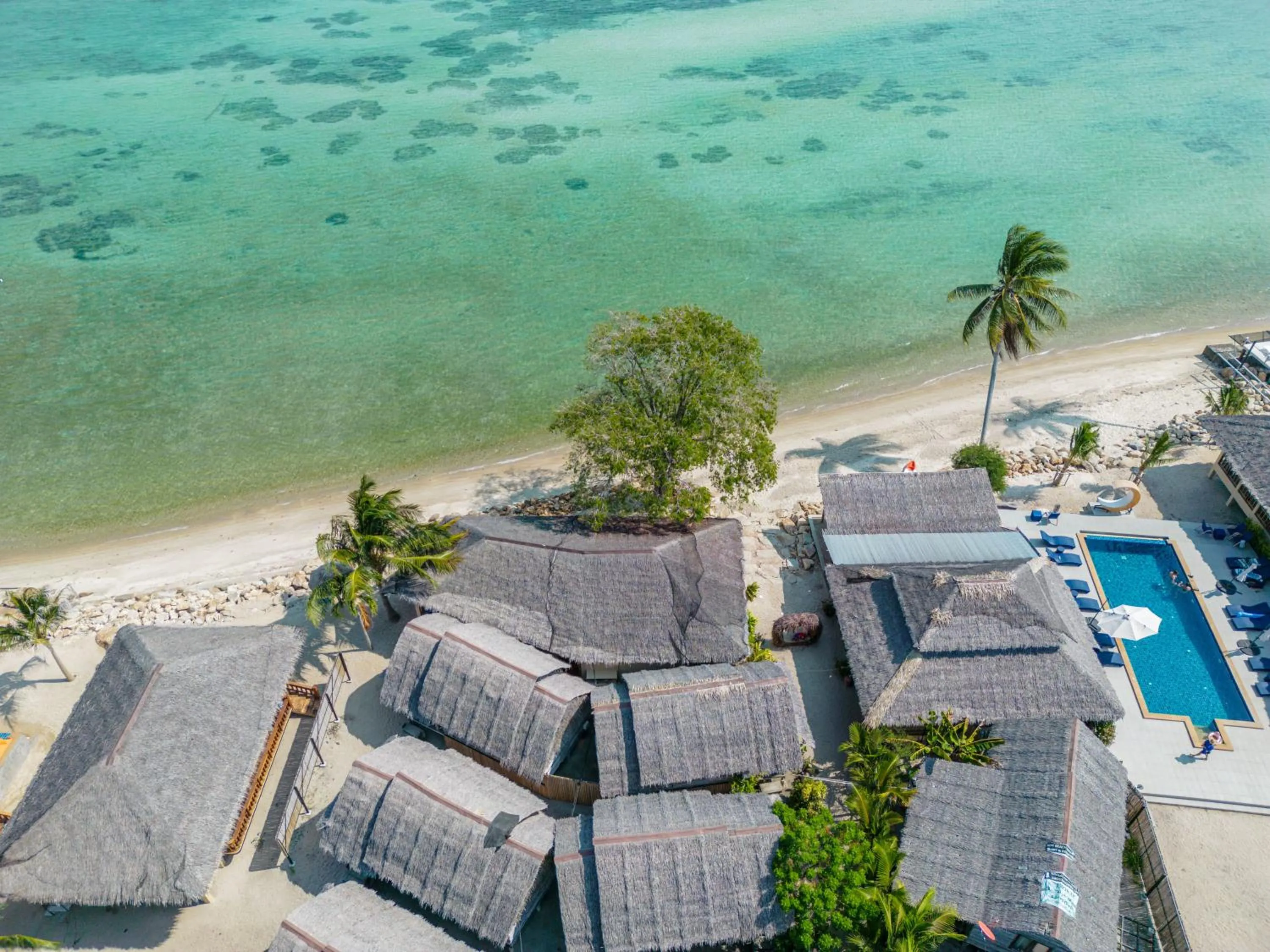 Natural landscape in Absolute Beachfront Villas