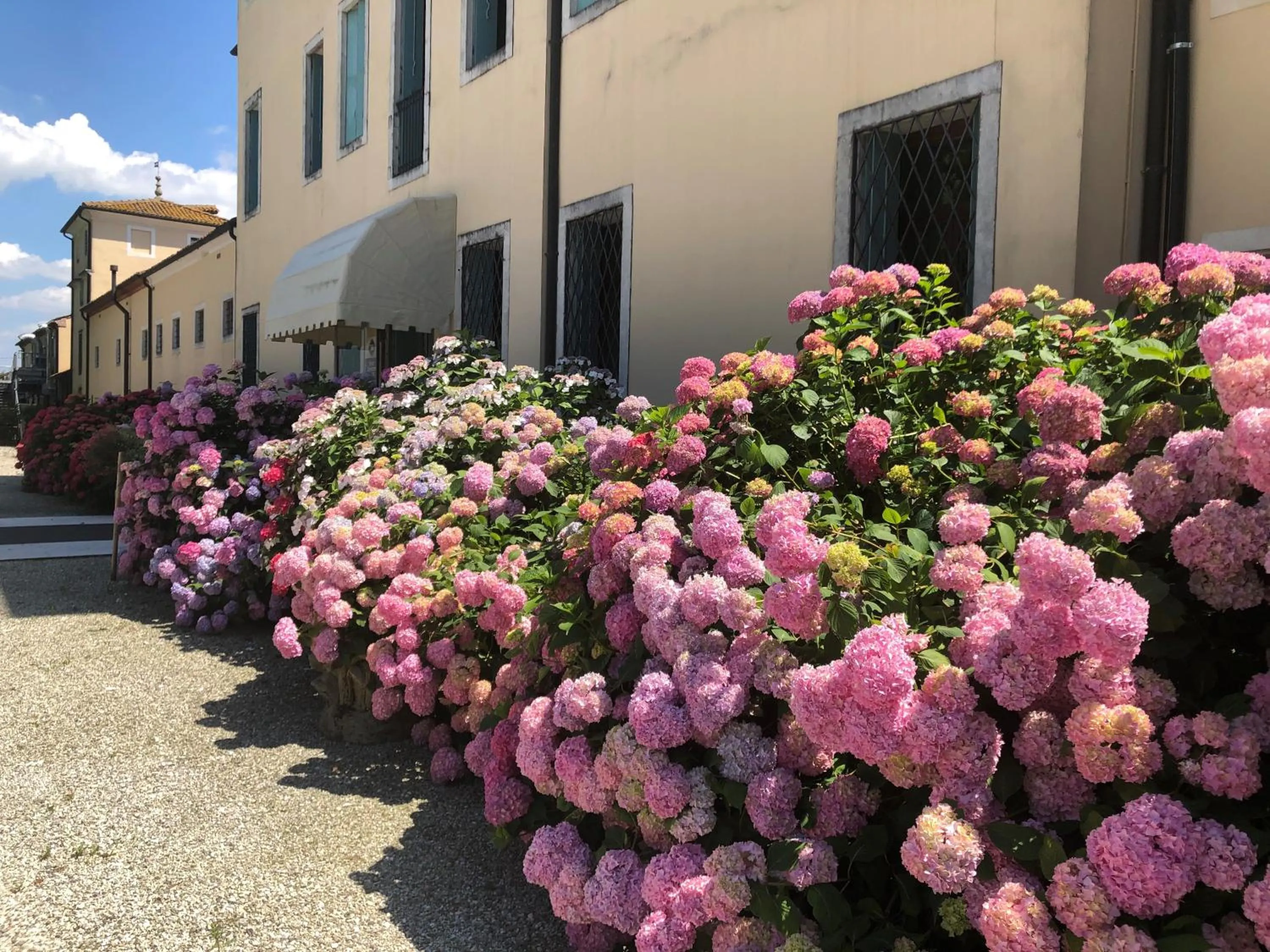 Facade/entrance in Best Western Plus Hotel Villa Tacchi