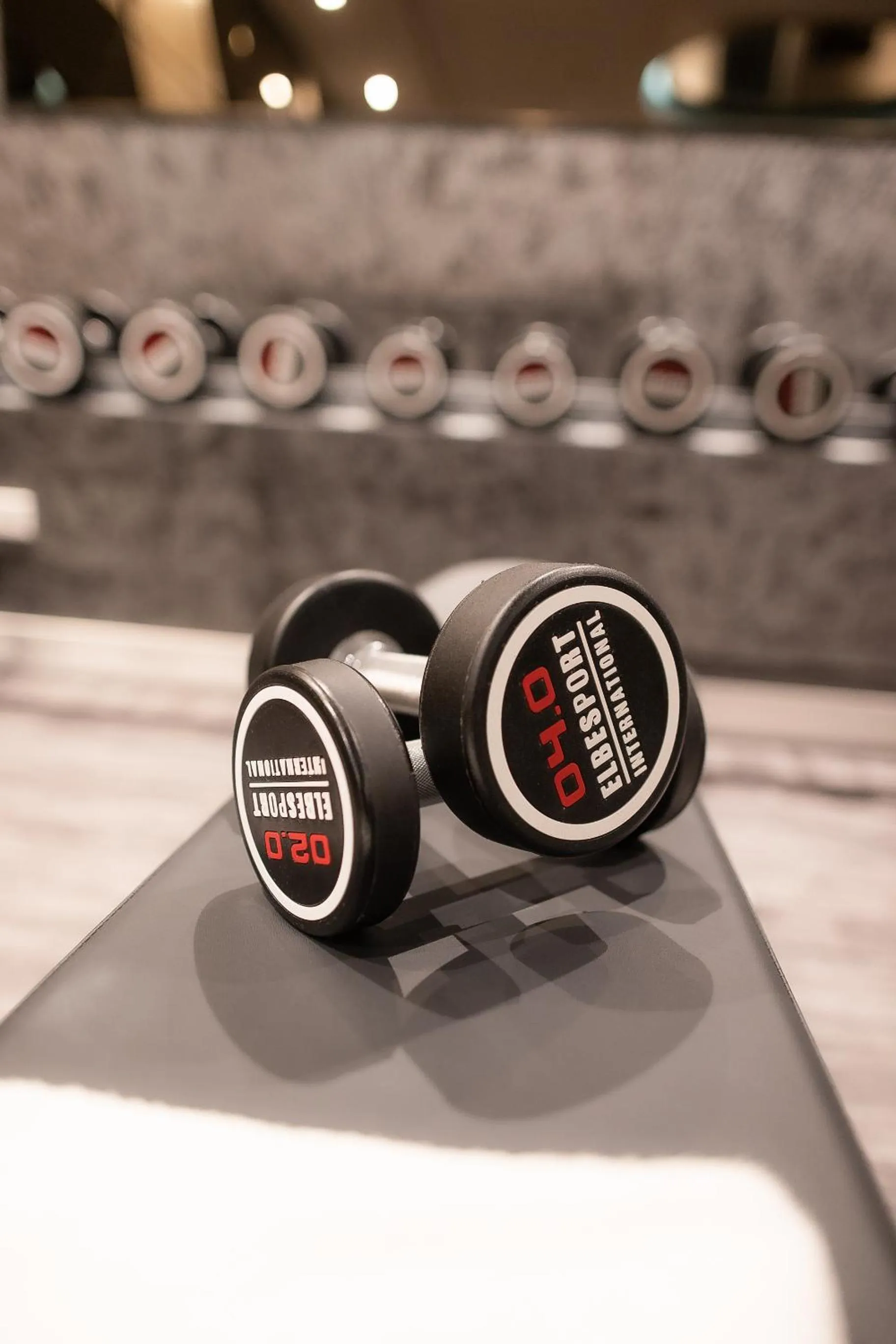 Fitness centre/facilities in PLAZA Premium Heidelberg