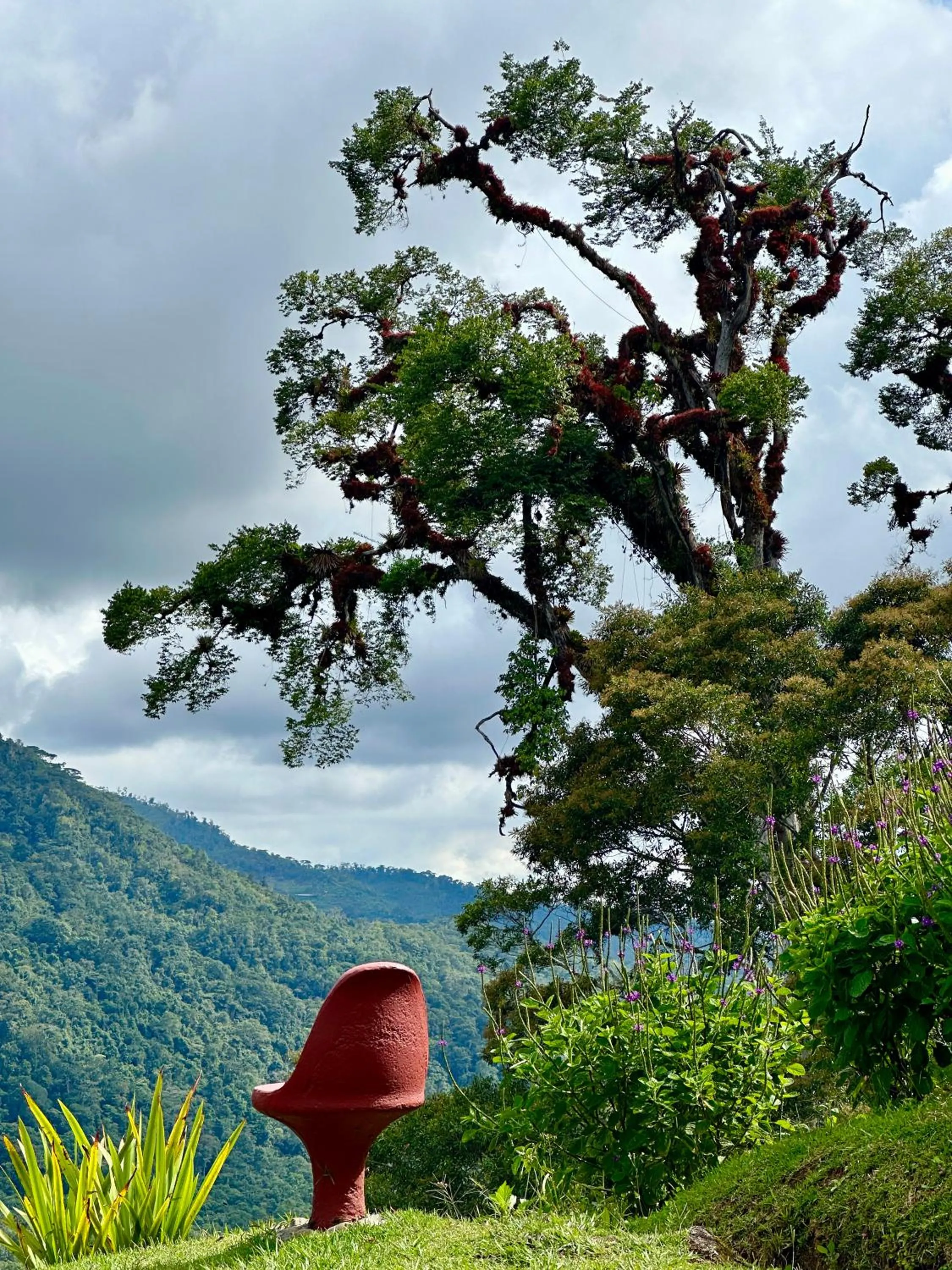 Hotel de Montaña El Pelicano