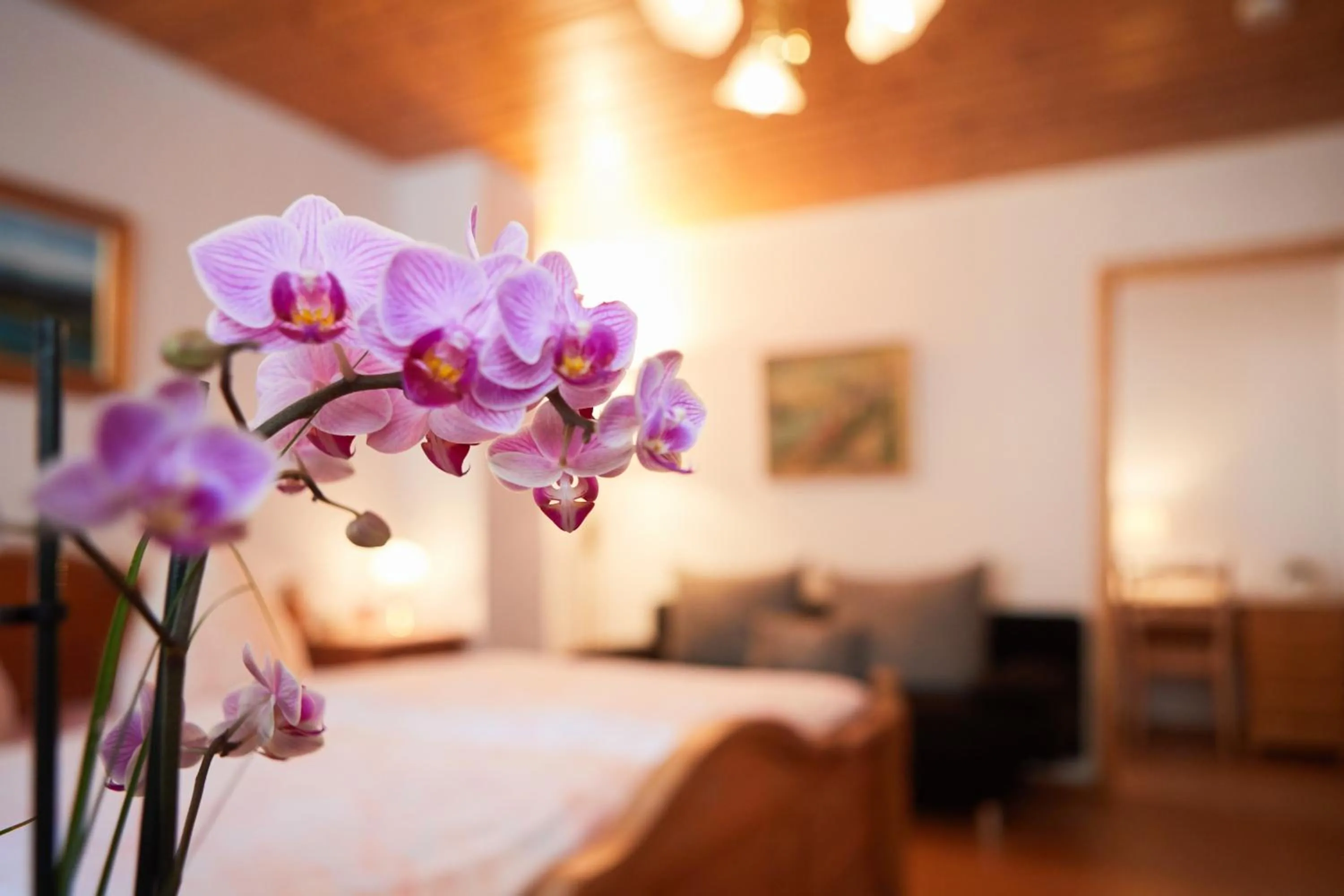 Photo of the whole room, Bed in Gasthof & Pension Steppacher