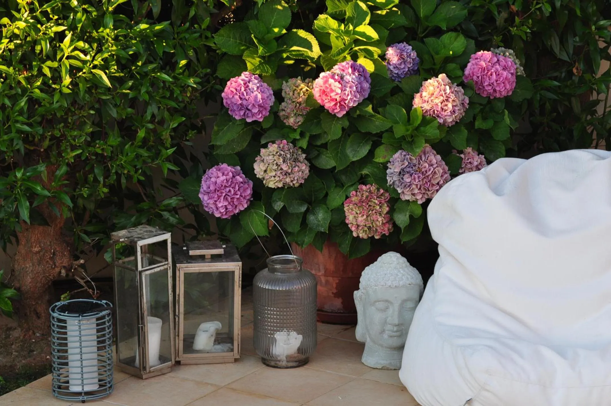 Garden view in Casa Eleonora b&b