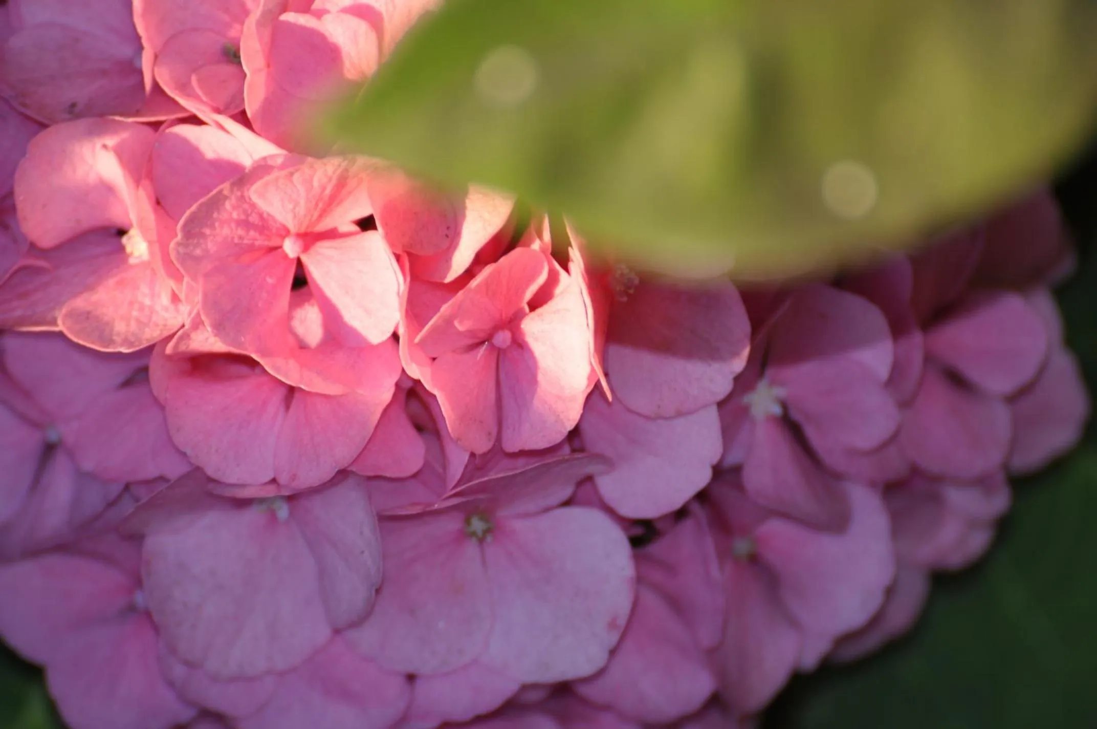 Property building in Casa Eleonora b&b