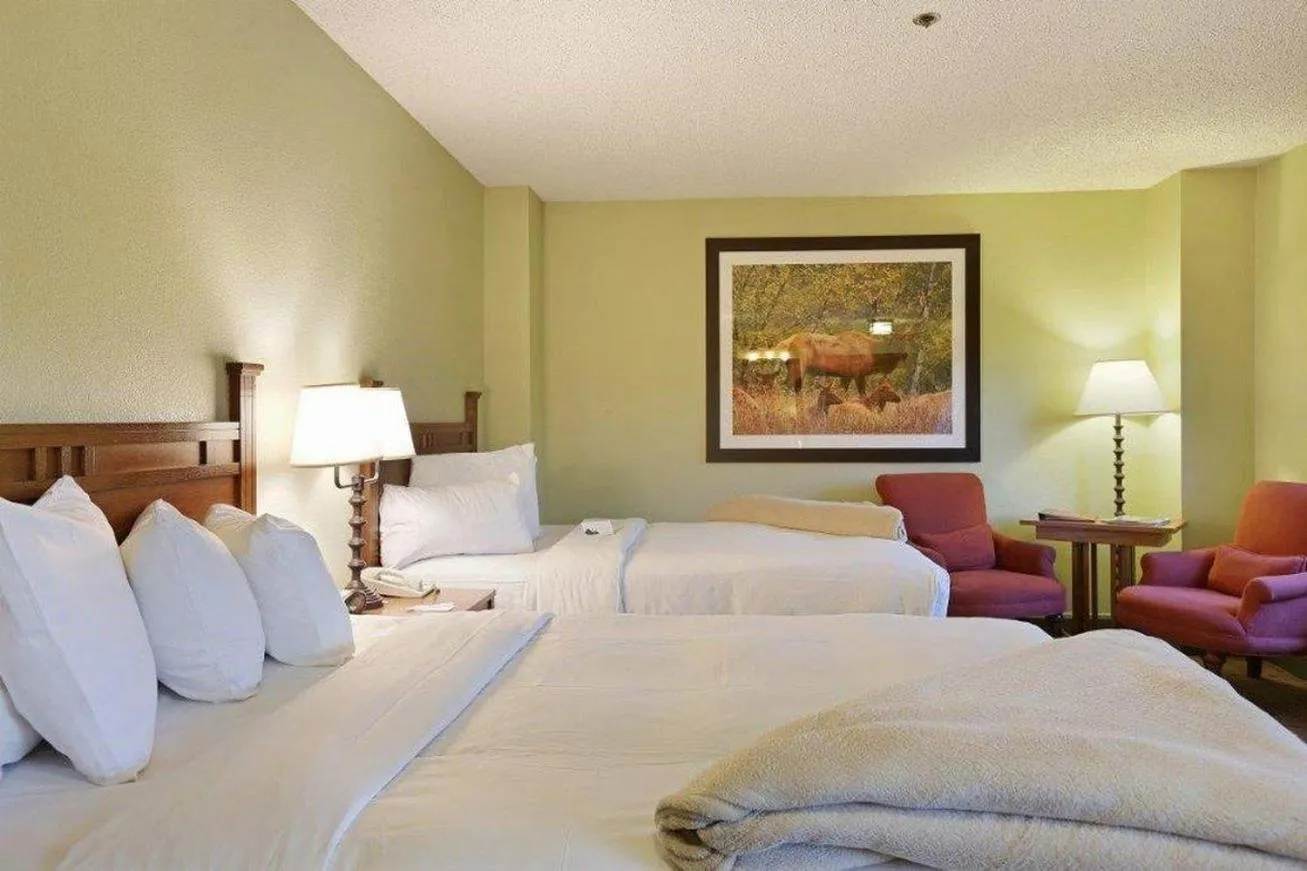 Photo of the whole room, Bed in Gravity Haus