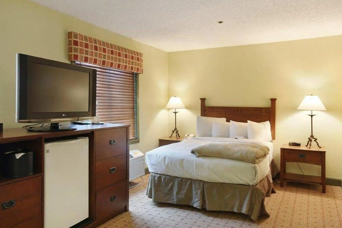 Photo of the whole room, Bed in Gravity Haus