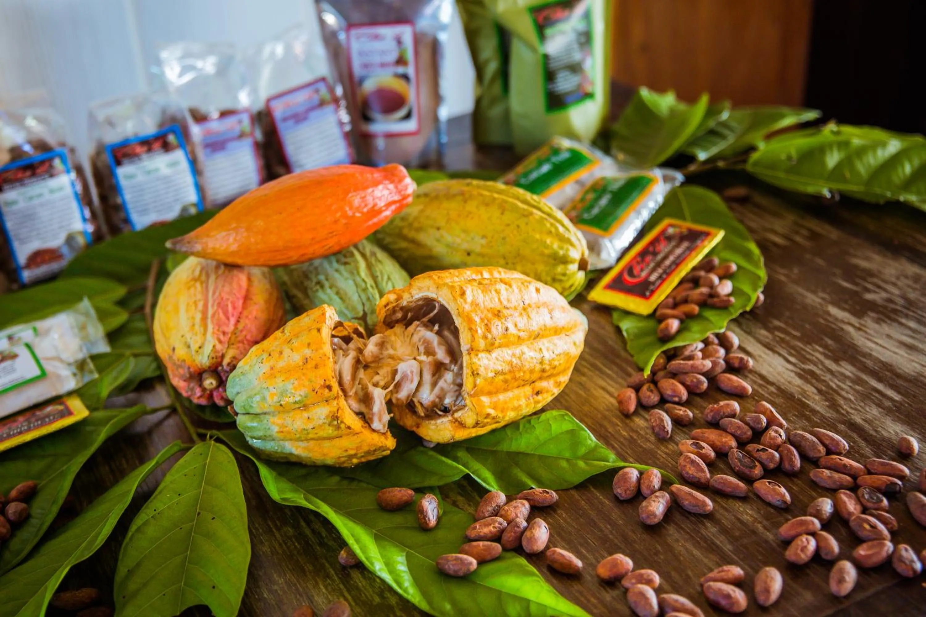 Food and drinks in Umaya Resort & Adventures