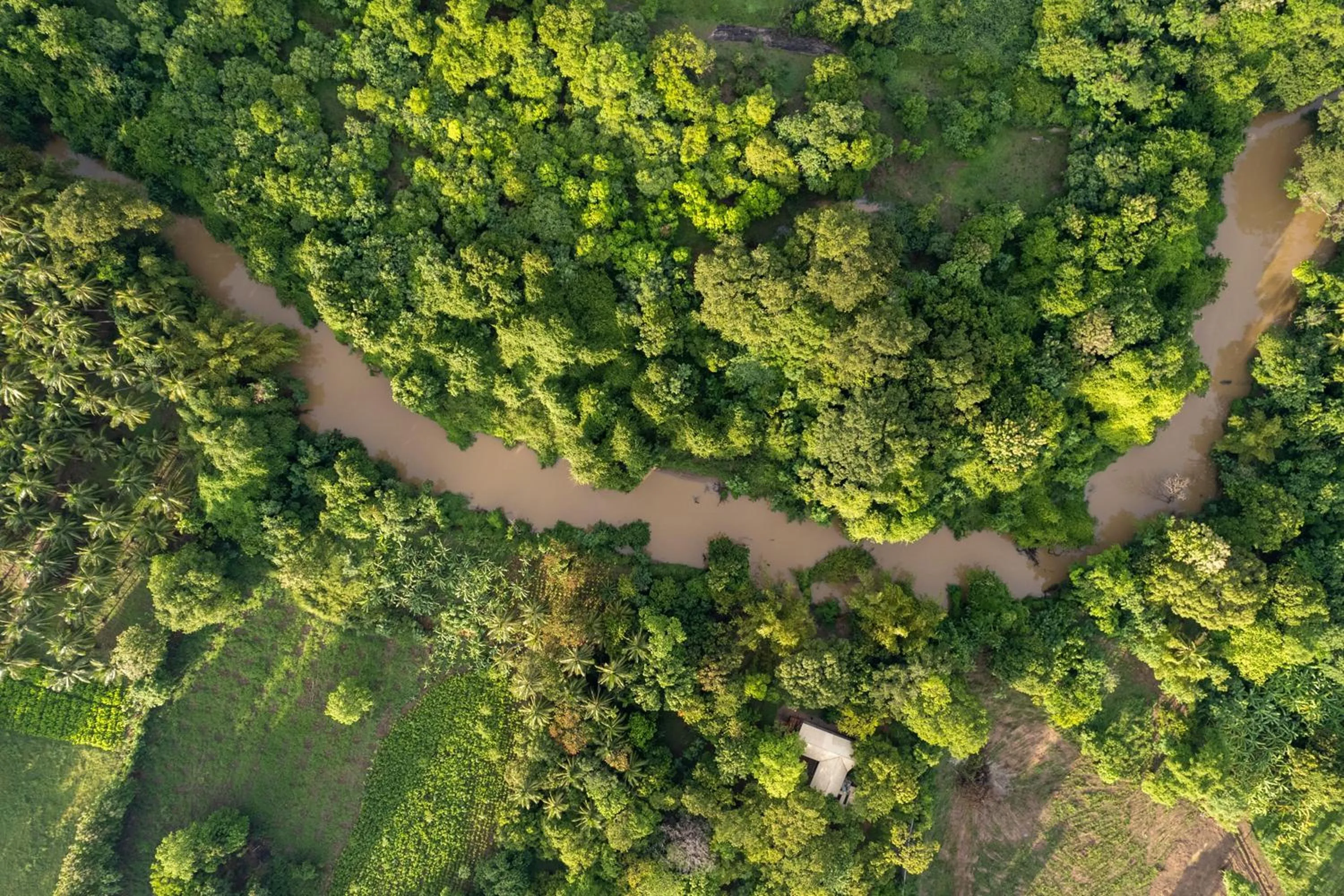 View (from property/room) in The River House Dambulla by The Serendipity Collection