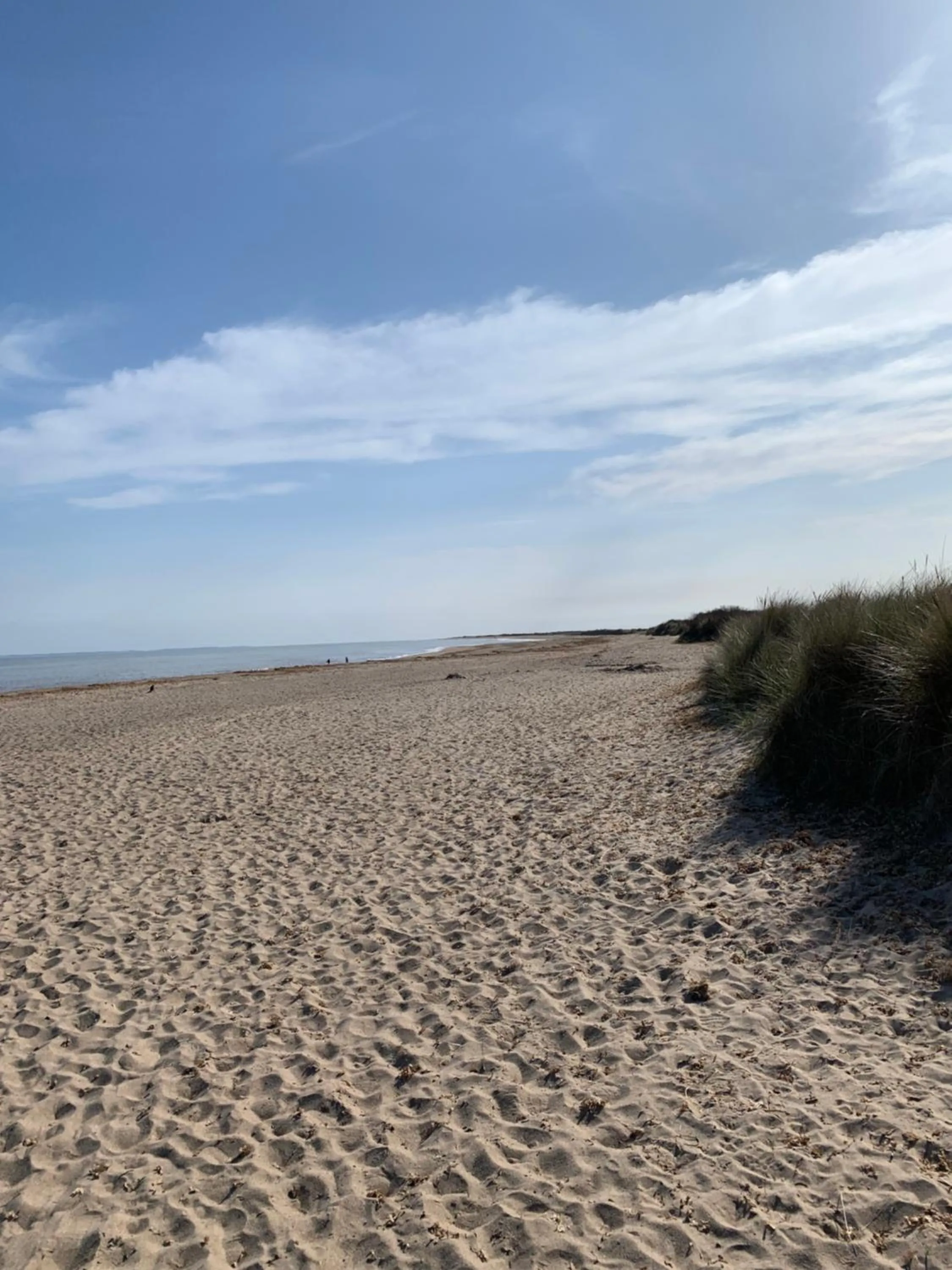 Beach in Knighton Lodge
