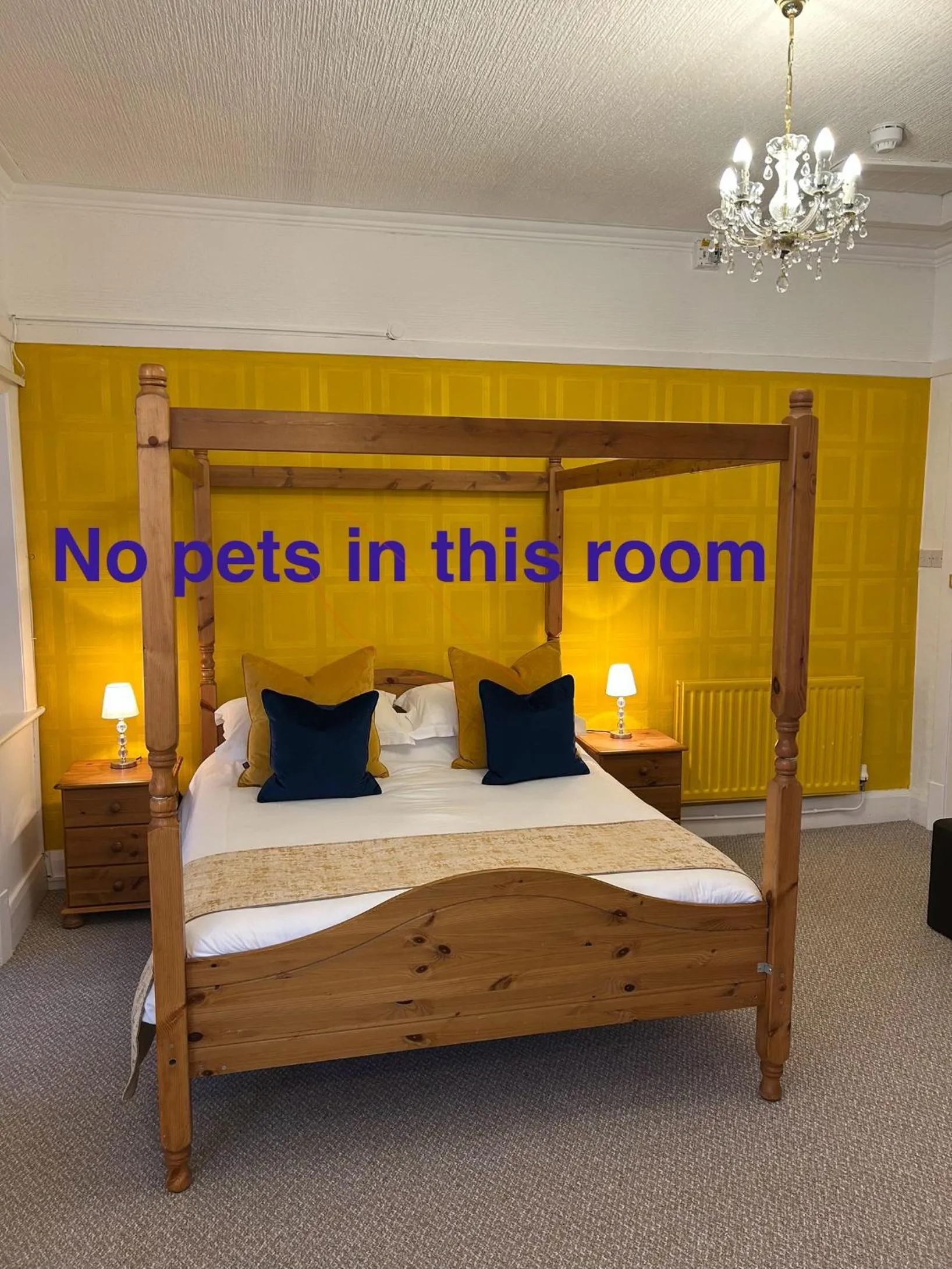 Photo of the whole room, Bed in Knighton Lodge