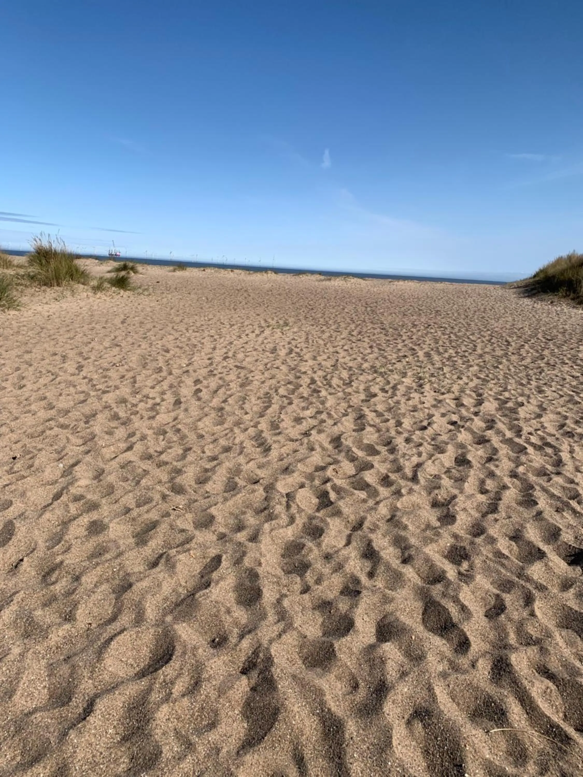 Beach in Knighton Lodge
