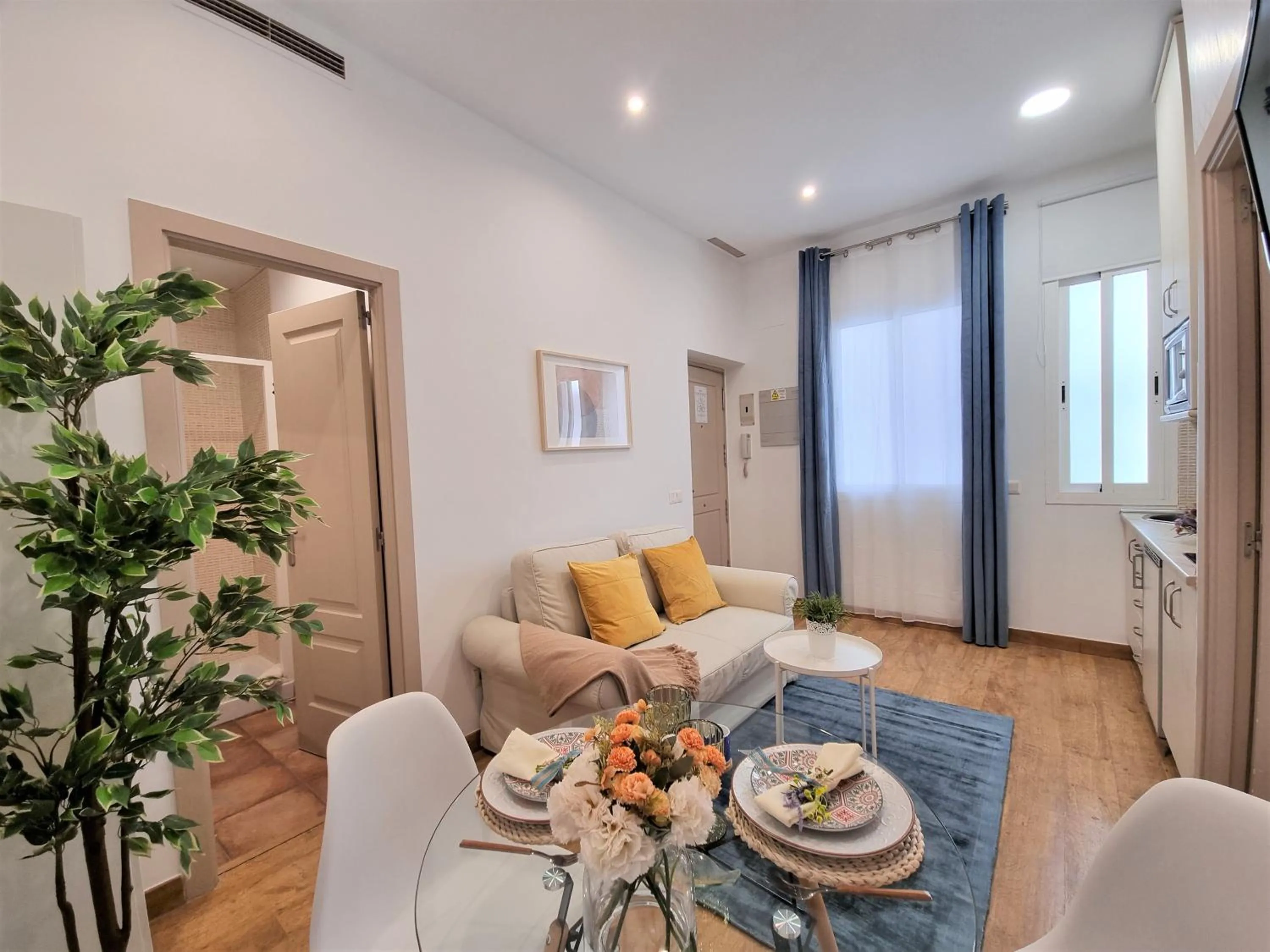 APARTAMENTOS SAN ANDRES