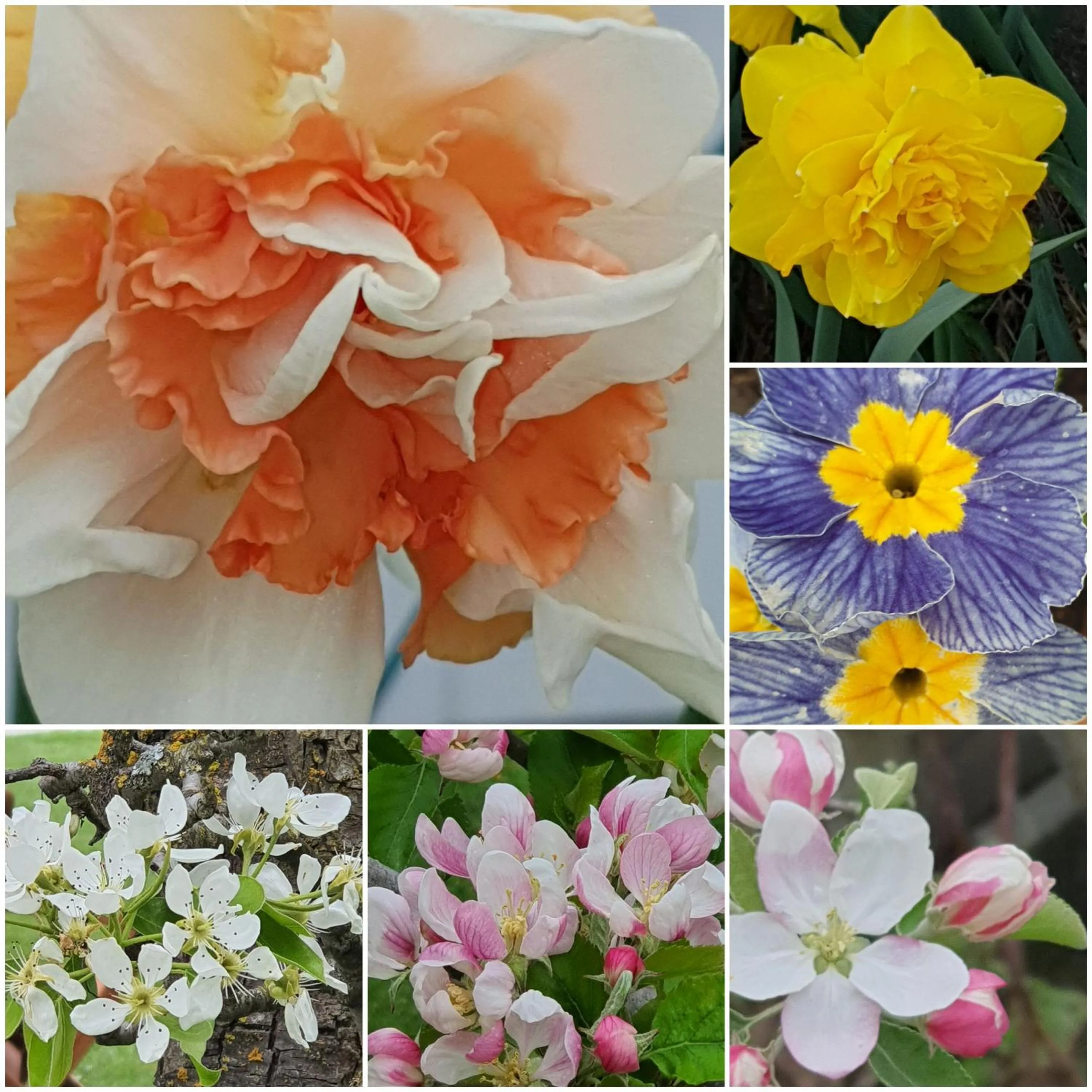 Spring in Burkes Pass Country Motels