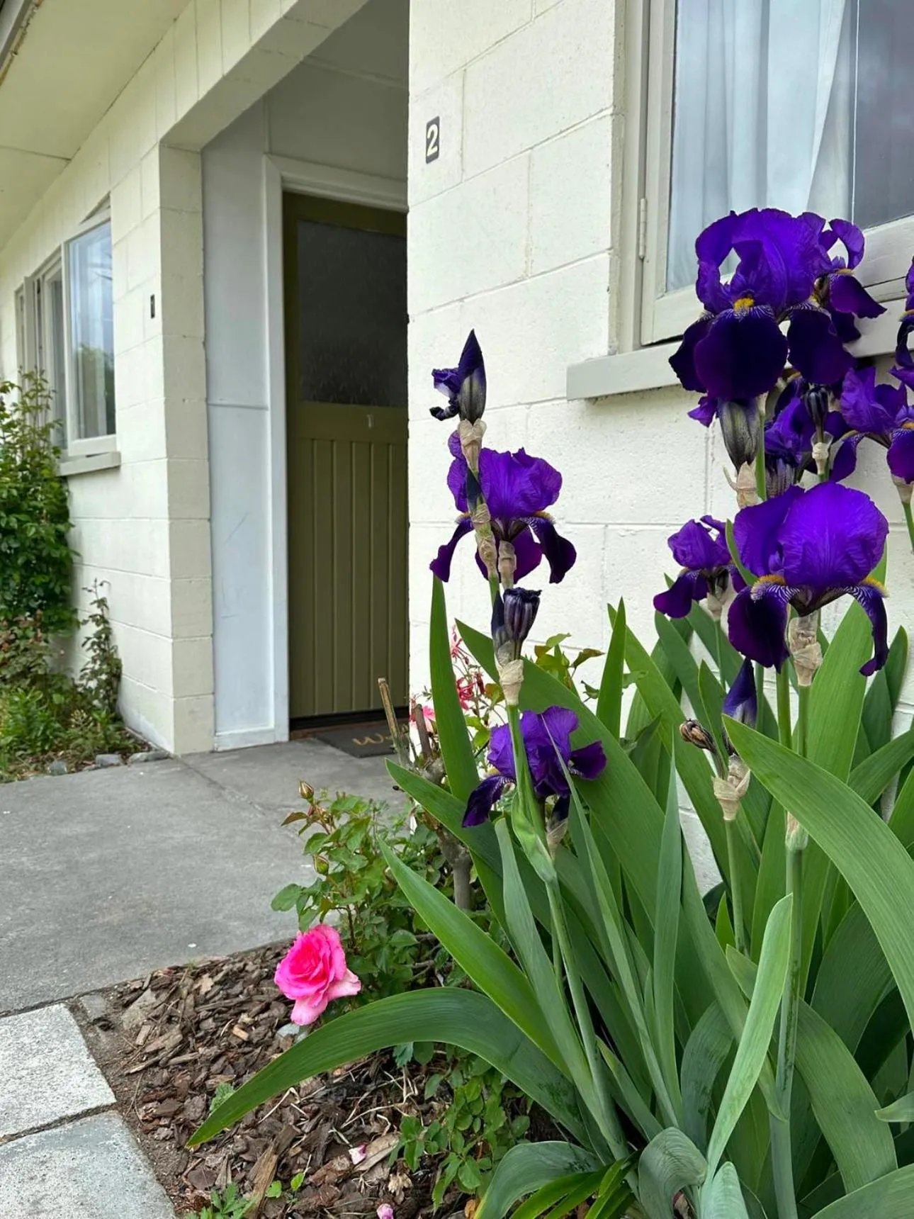 Spring in Burkes Pass Country Motels