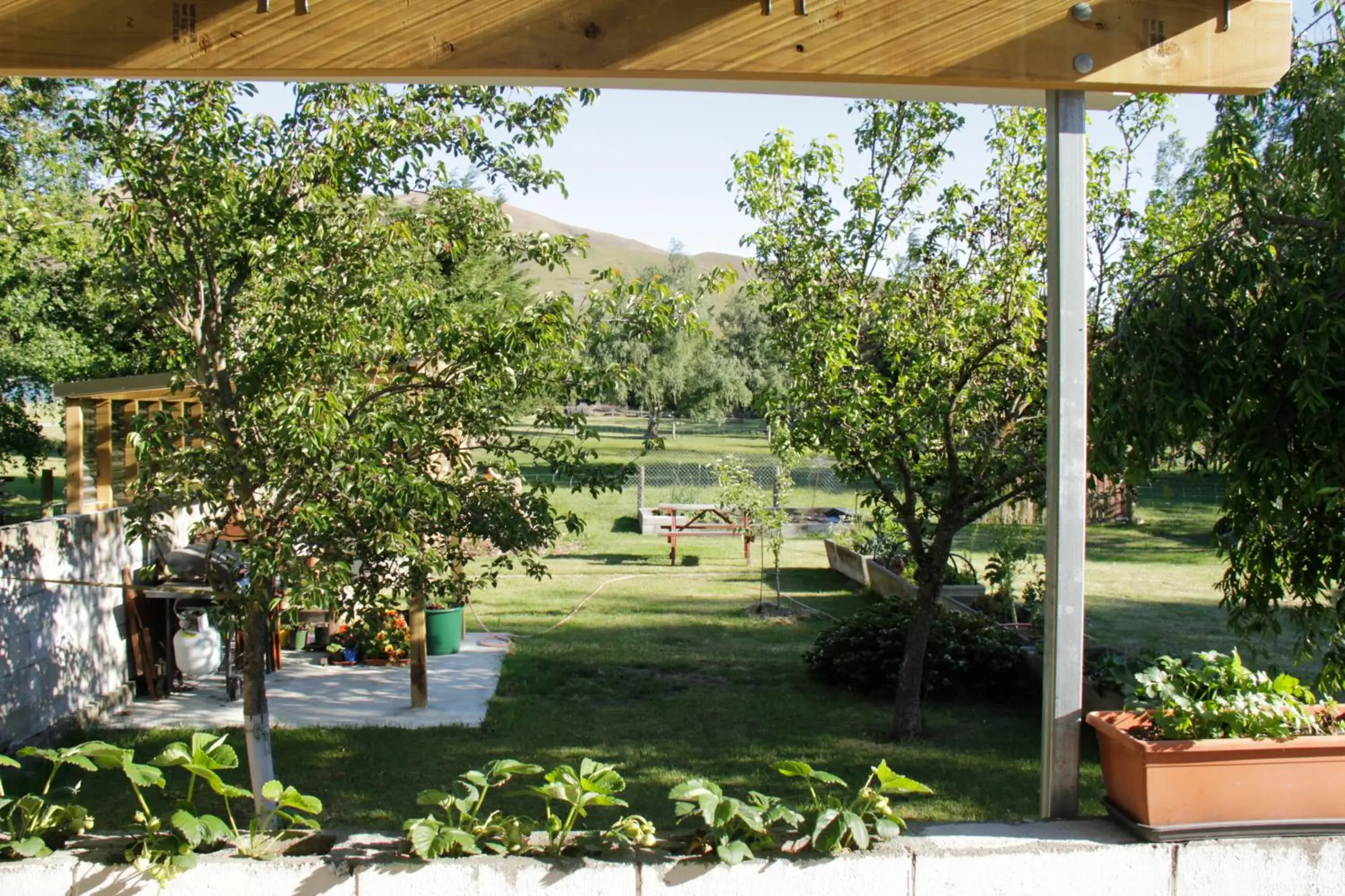 View (from property/room) in Burkes Pass Country Motels View (from property/room) in Burkes Pass Country Motels