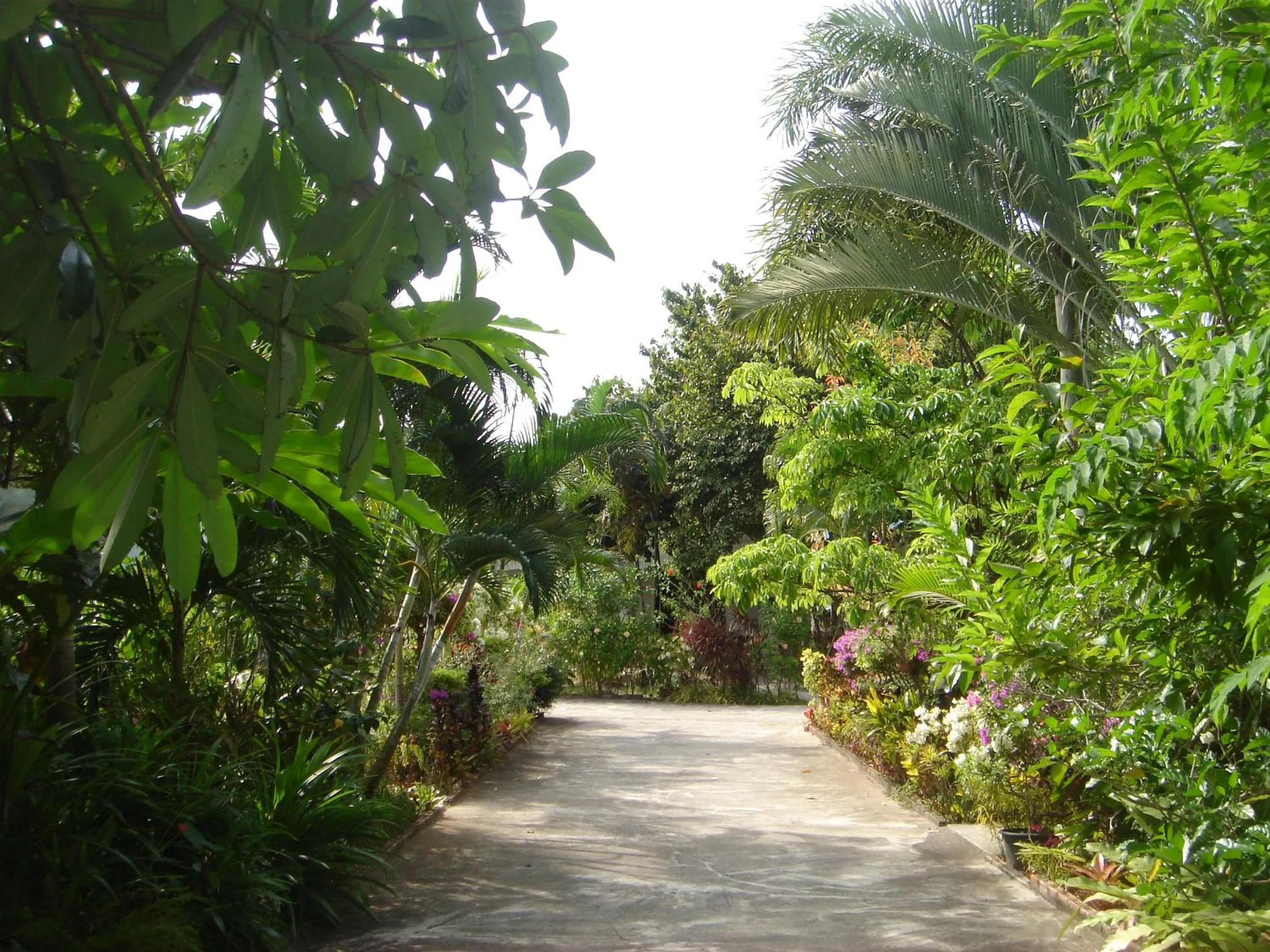 Area and facilities in Real Relax Resort