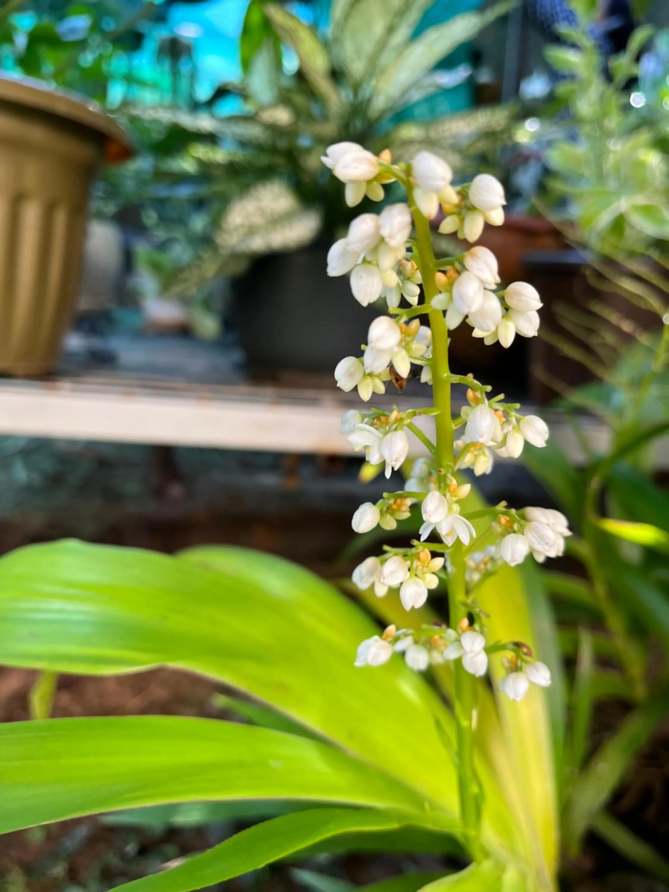 Krabi Klong Muang Bay Resort