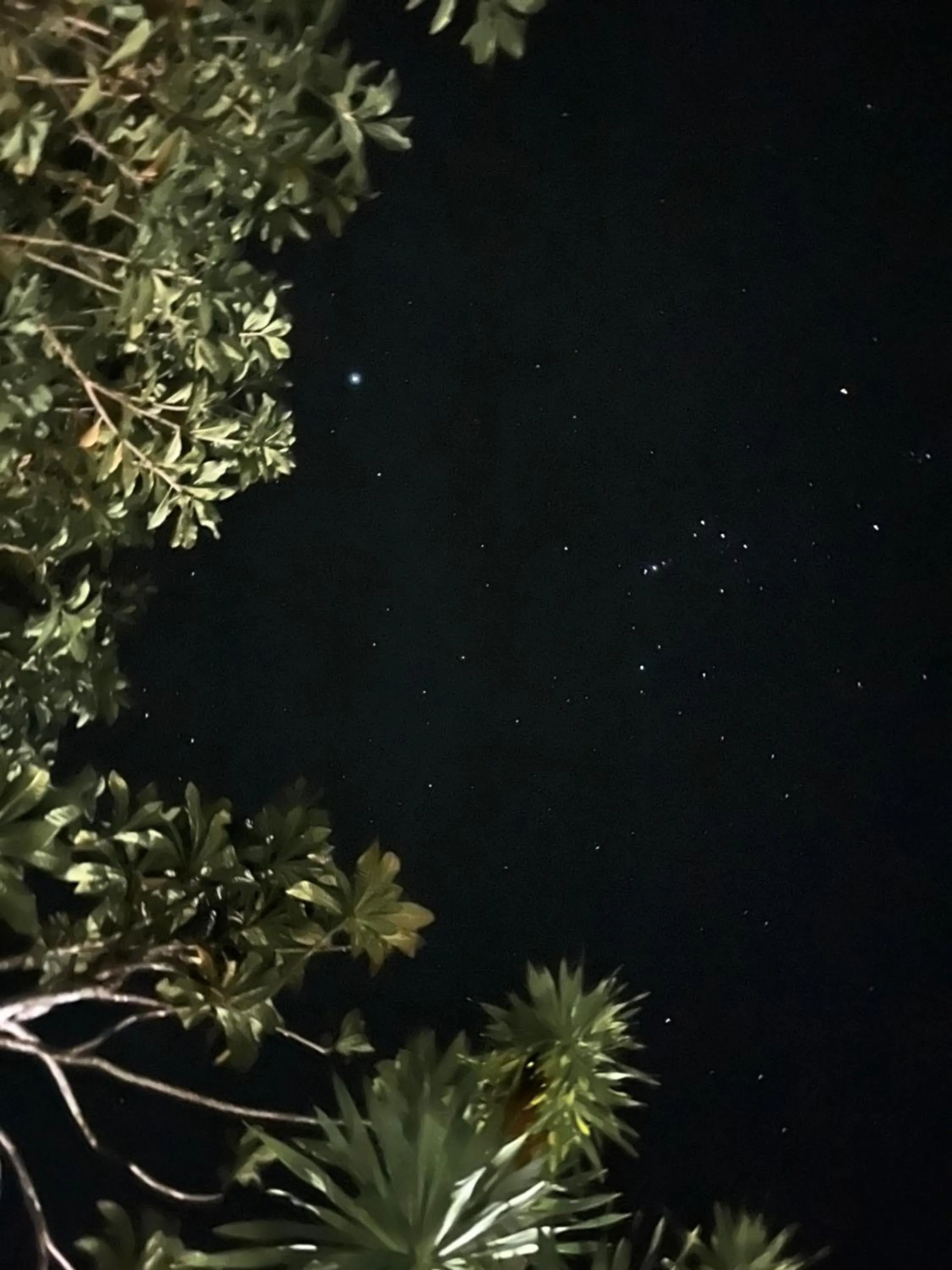 Krabi Klong Muang Bay Resort