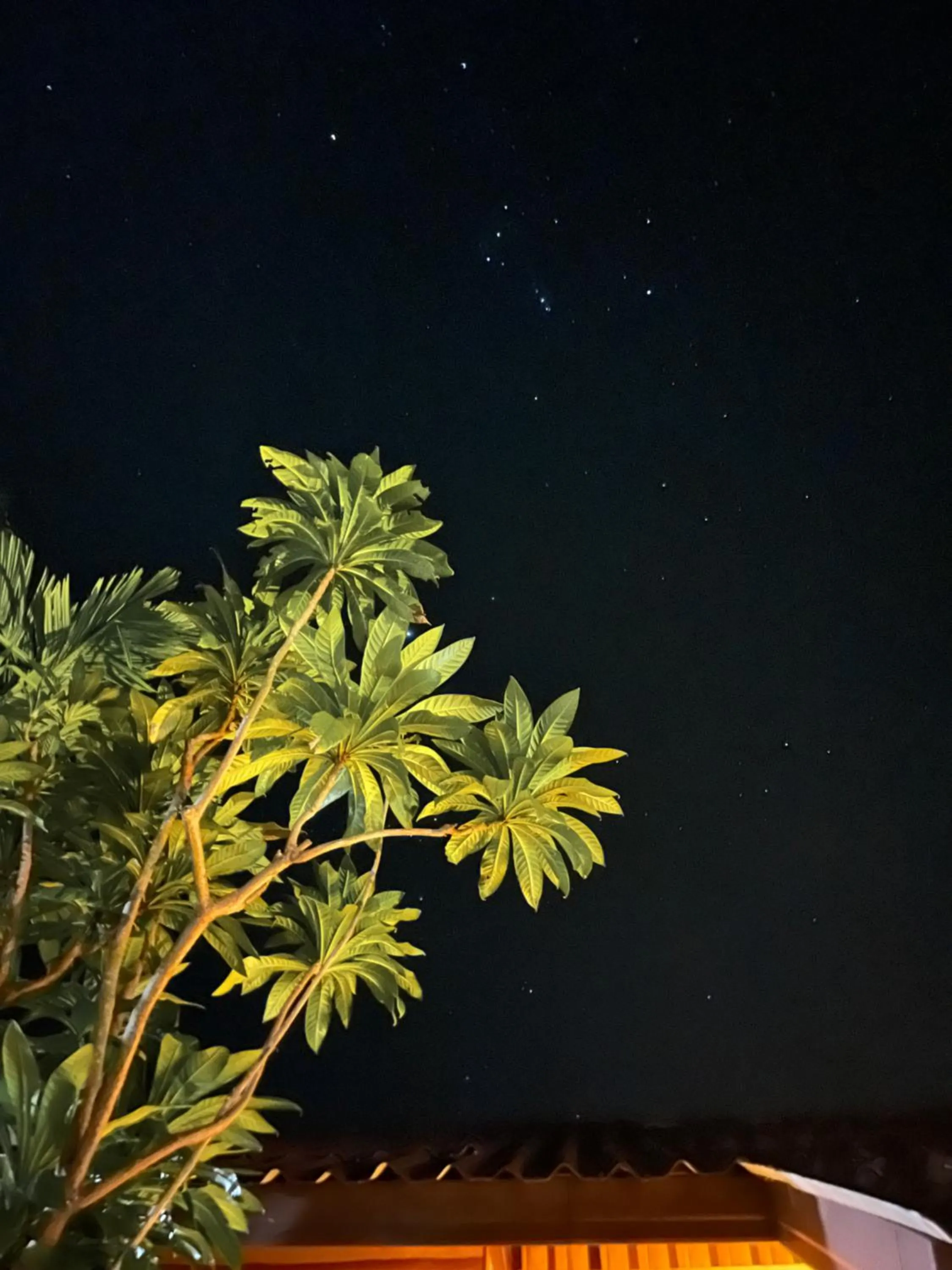 Krabi Klong Muang Bay Resort