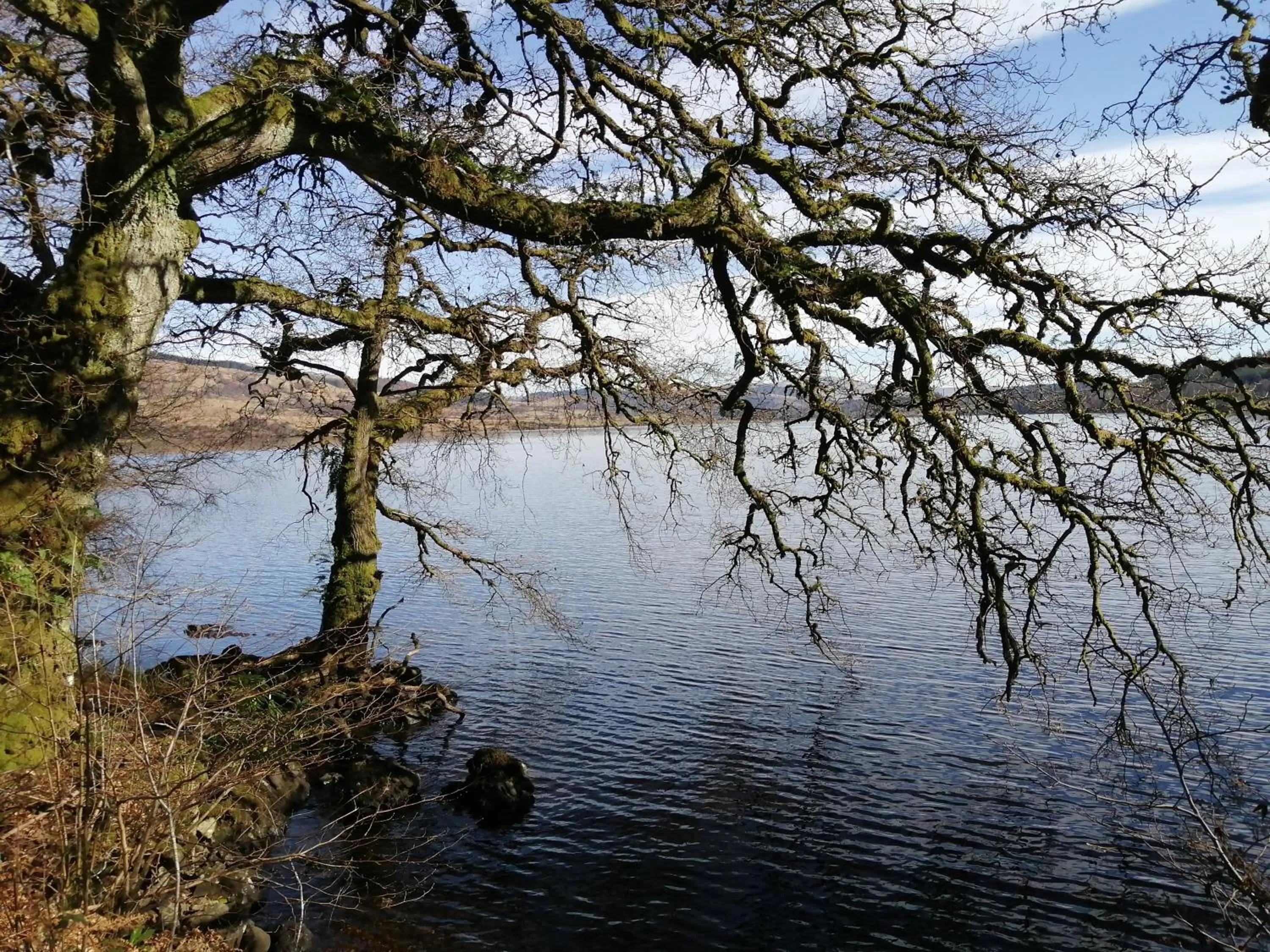 Natural landscape in Nest Holiday Home Central Callander, Trossachs Self-catering