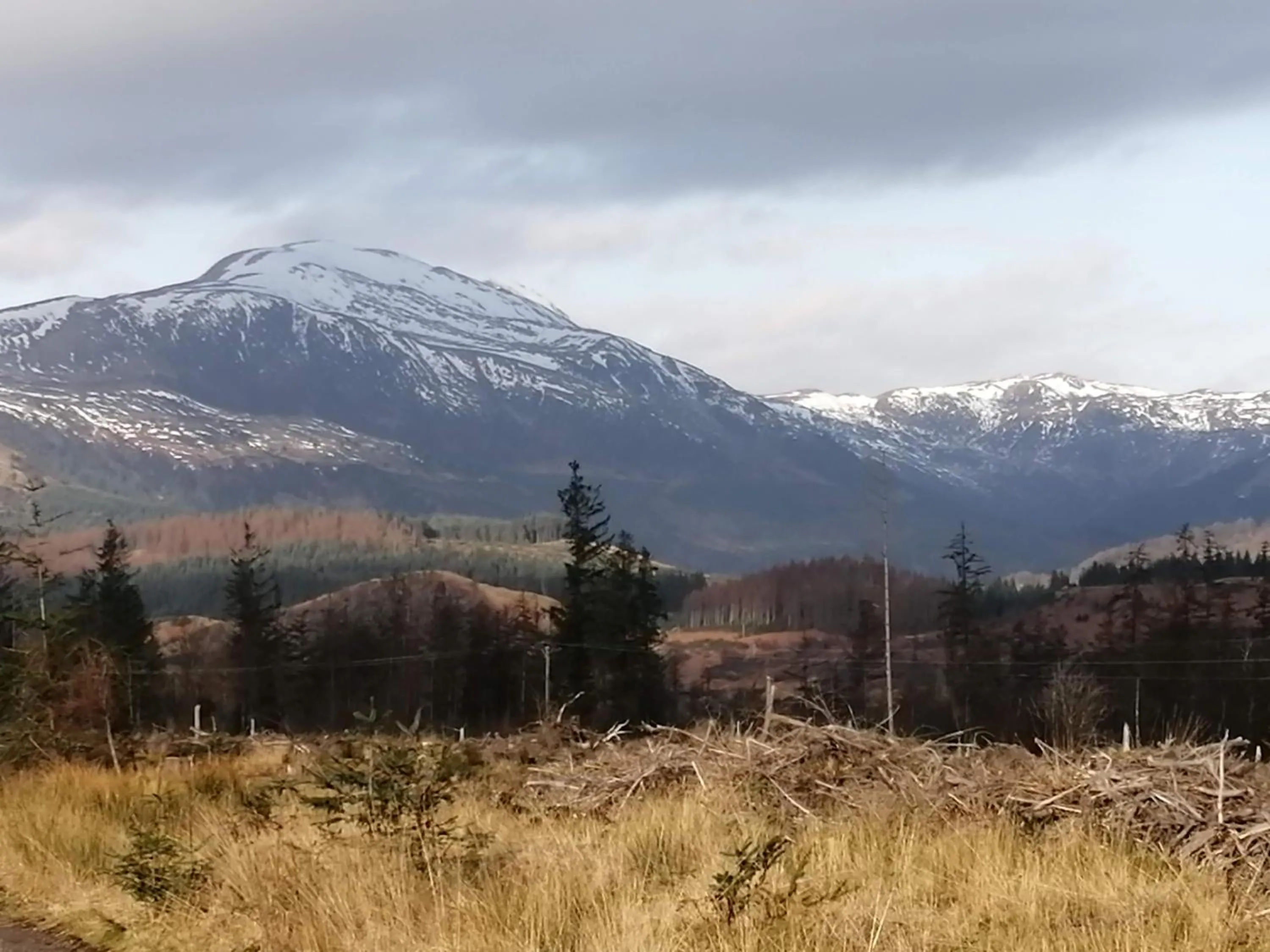 Natural landscape in Nest Holiday Home Central Callander, Trossachs Self-catering