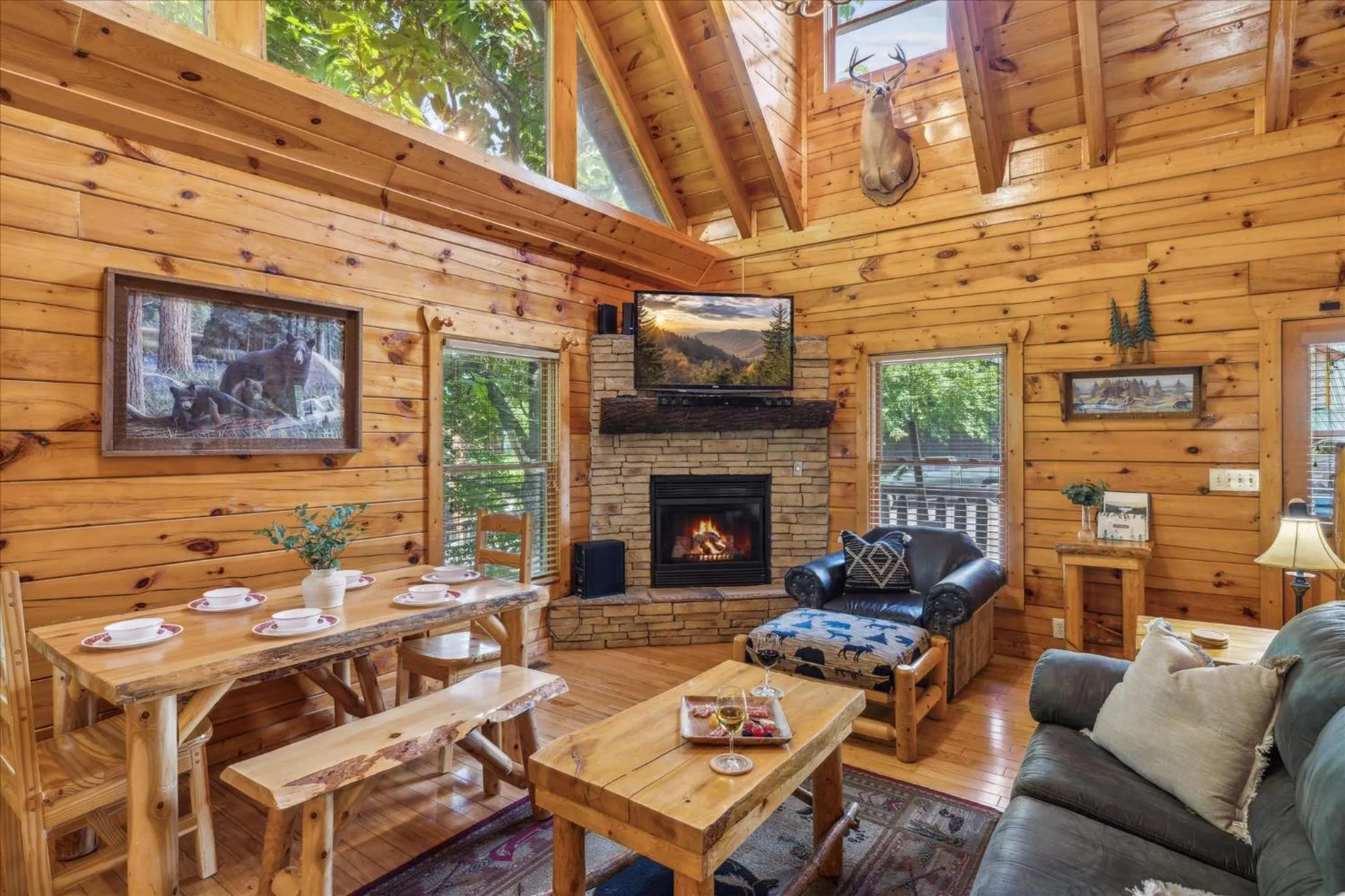 Living room in Sleepy Willow Cabin