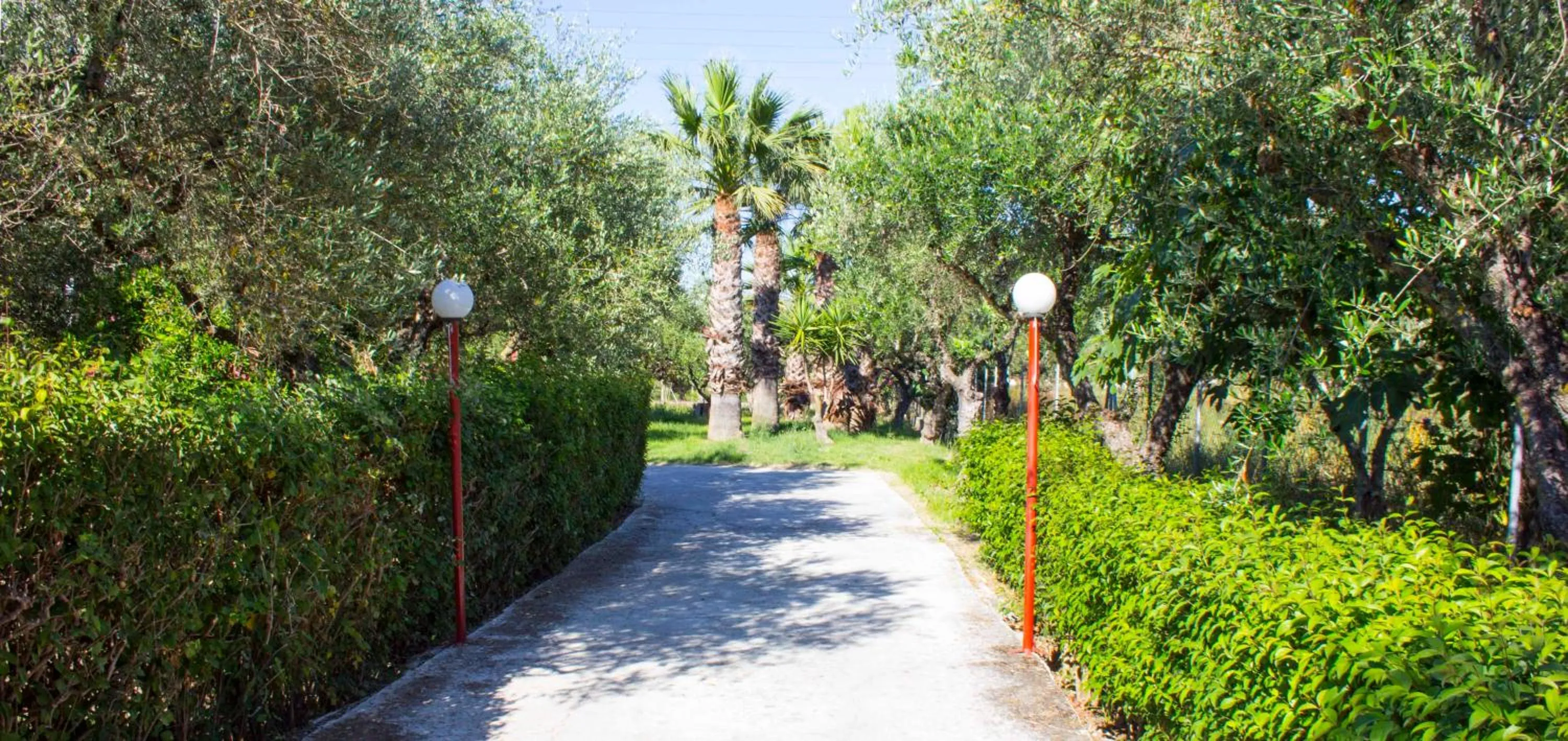 Garden in No Name Apartments