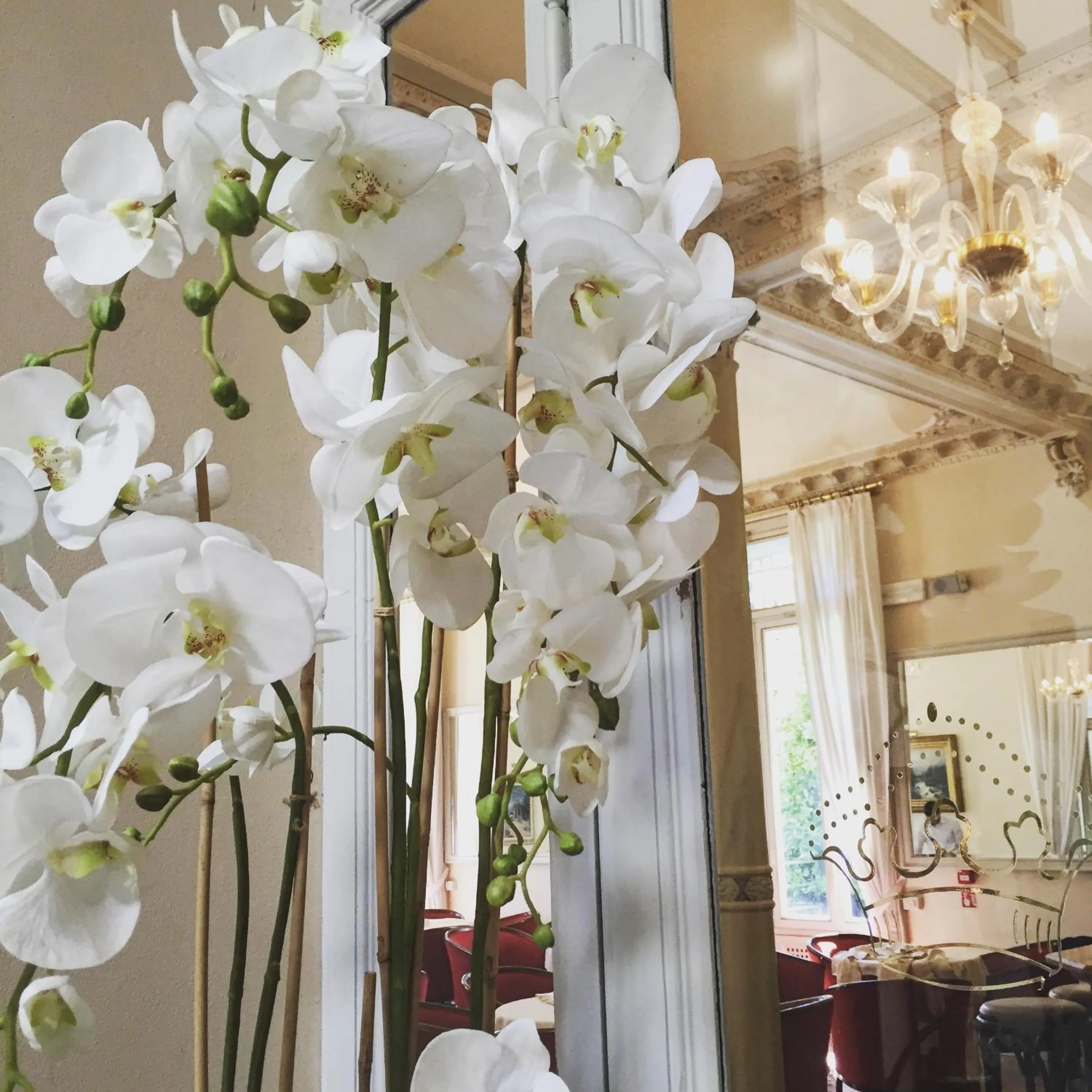 Lounge or bar in Grand Hotel Imperiale Resort & SPA