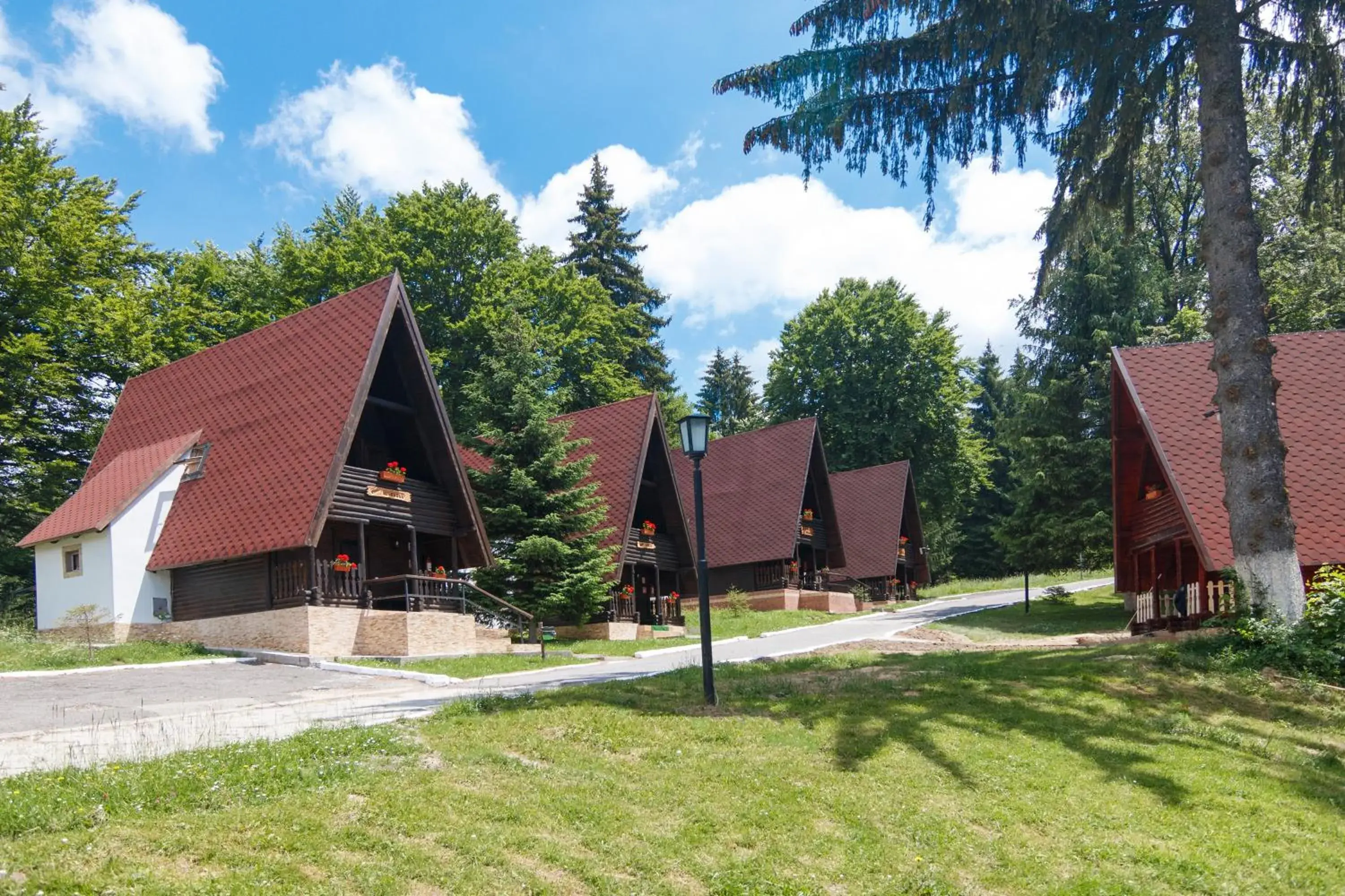 Centrul de Echitatie Poiana Brasov Centrul de Echitatie Poiana Brasov
