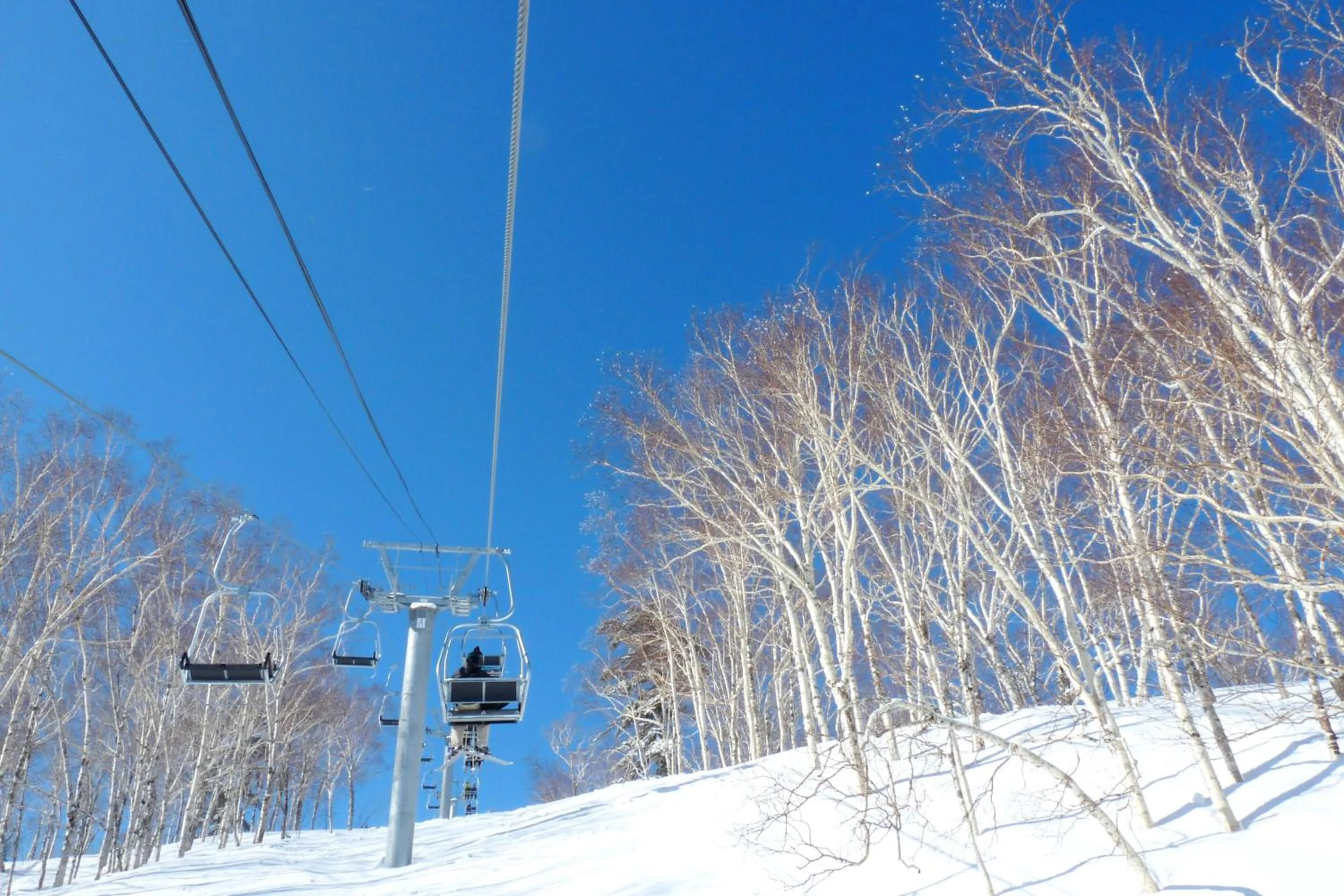 Skiing in Shin Furano Prince Hotel