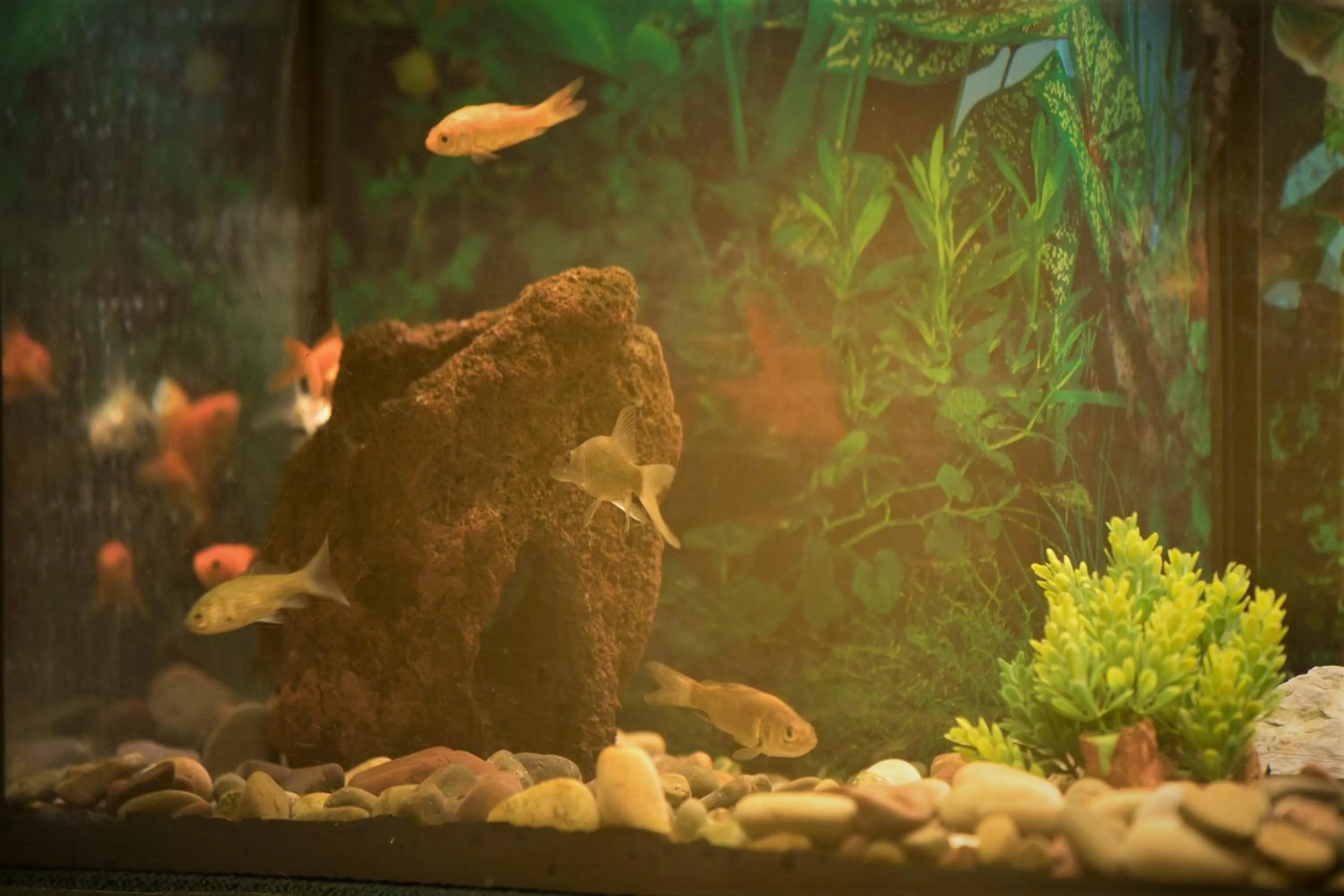 Decorative detail in Hotel Potenza