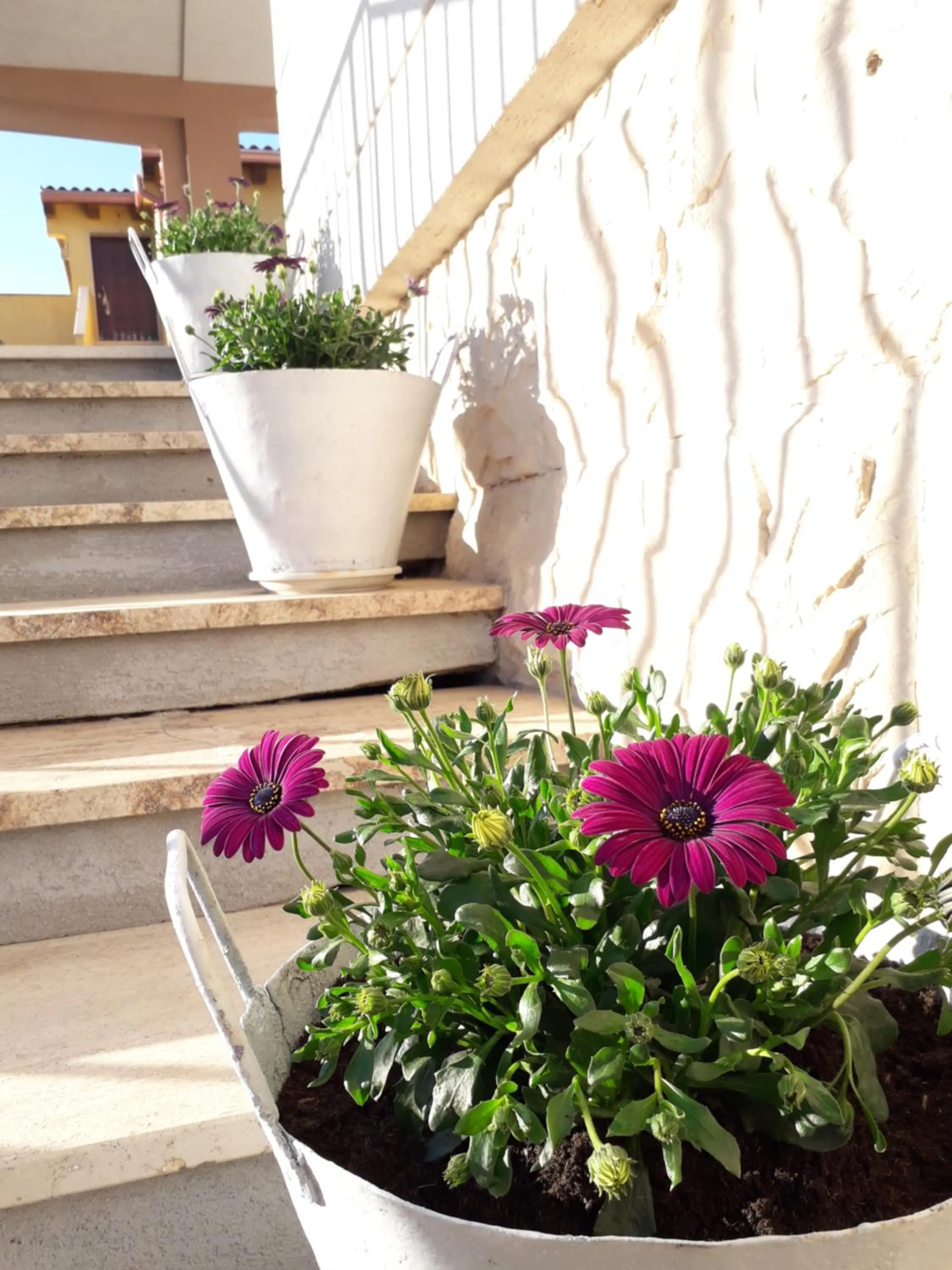 Facade/entrance in Il Vaso di Creta
