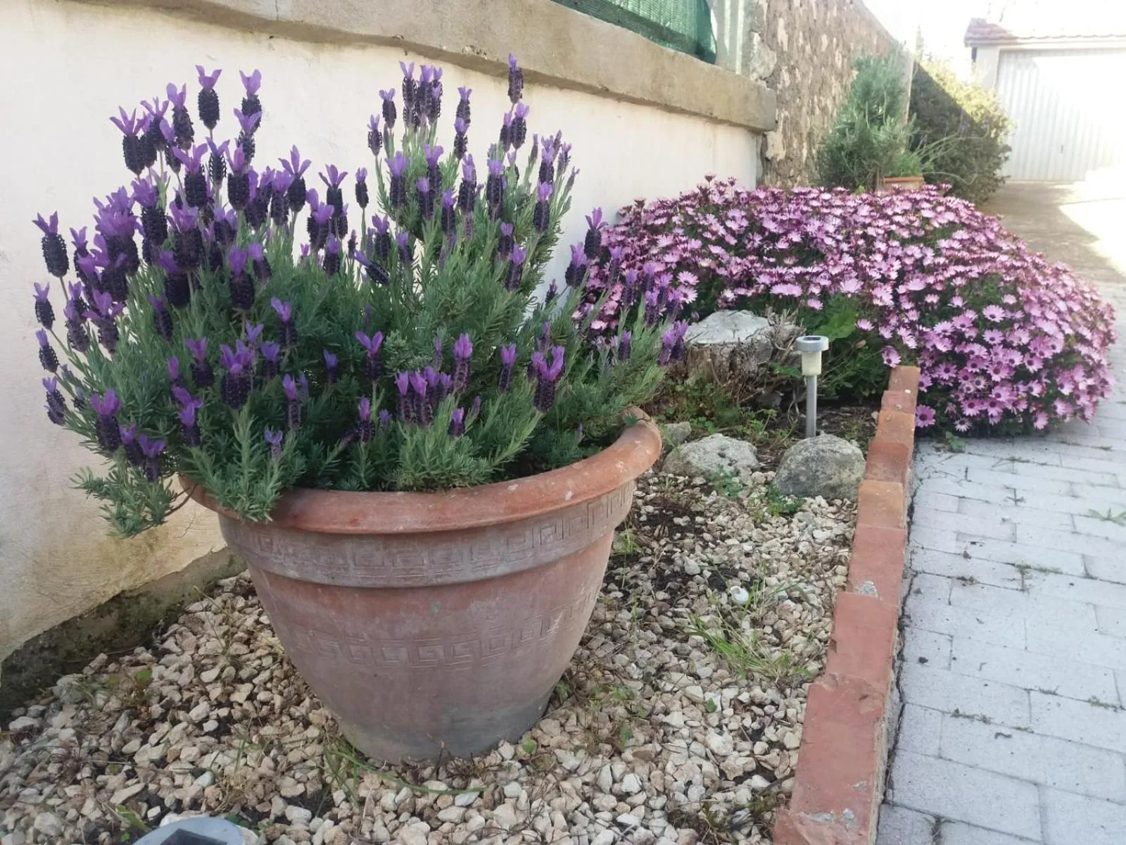 Floor plan in Il Vaso di Creta