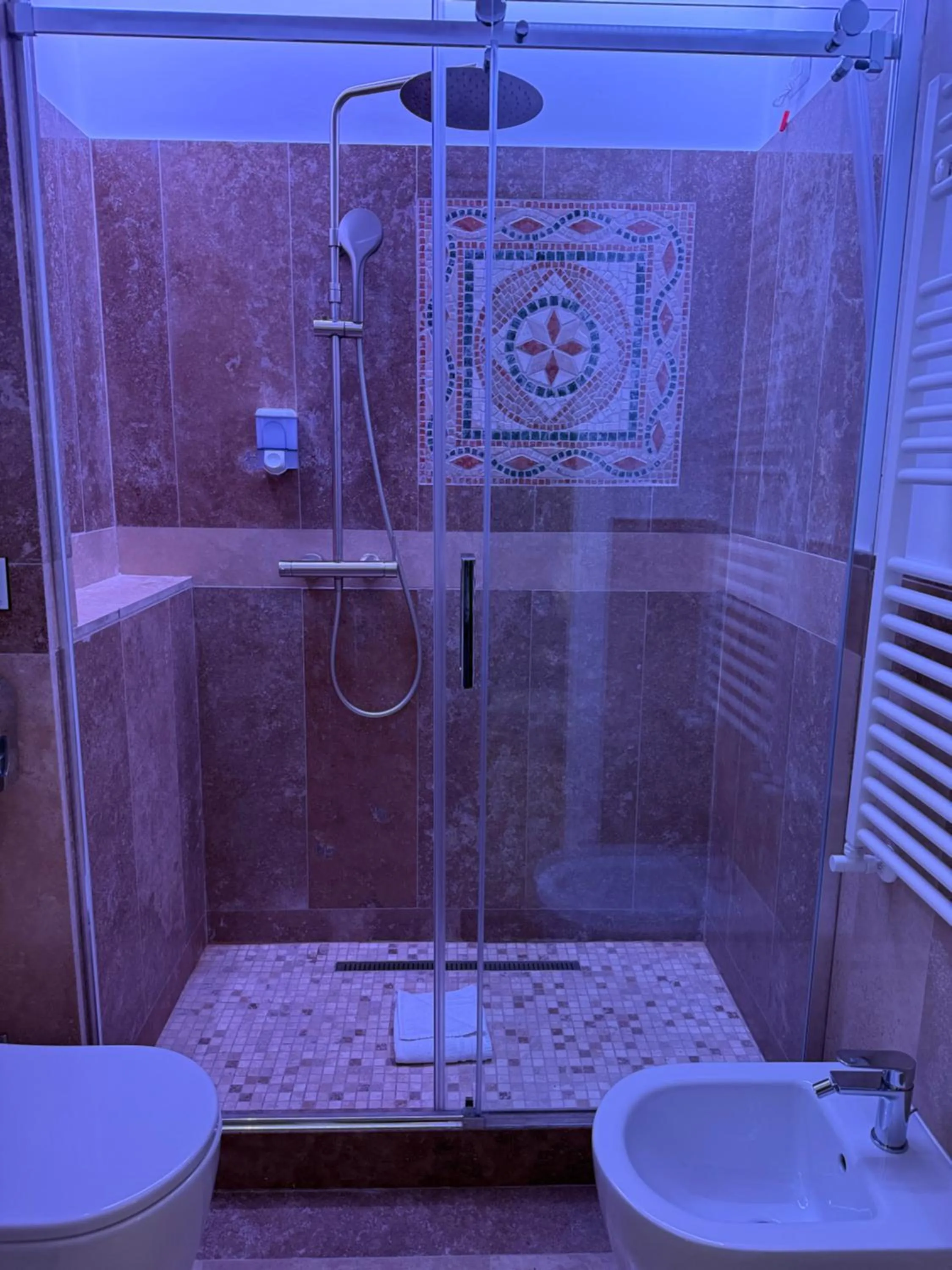 Shower in Hotel Accademia