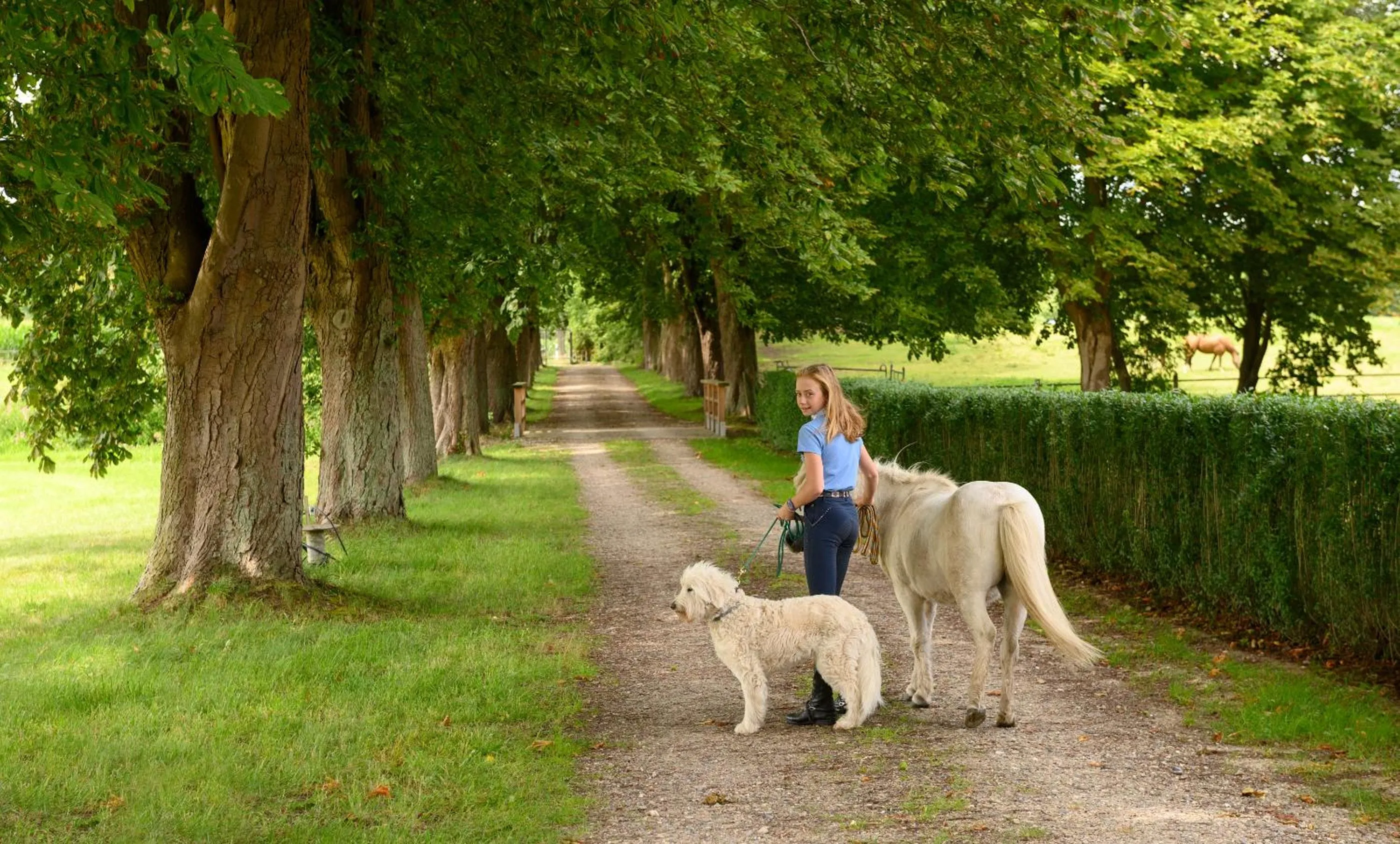 Activities in Hotel Gut Immenhof