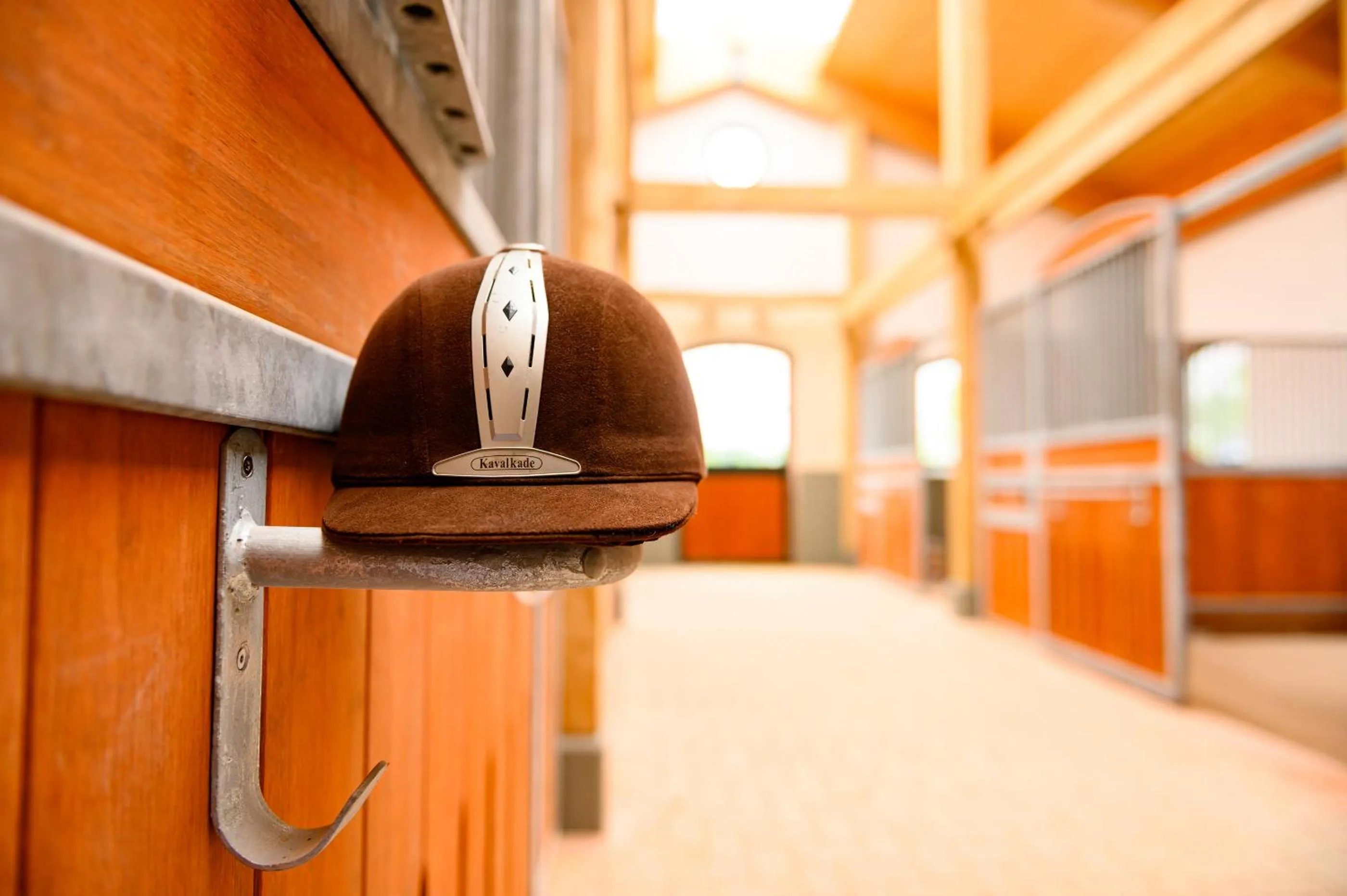 Activities in Hotel Gut Immenhof