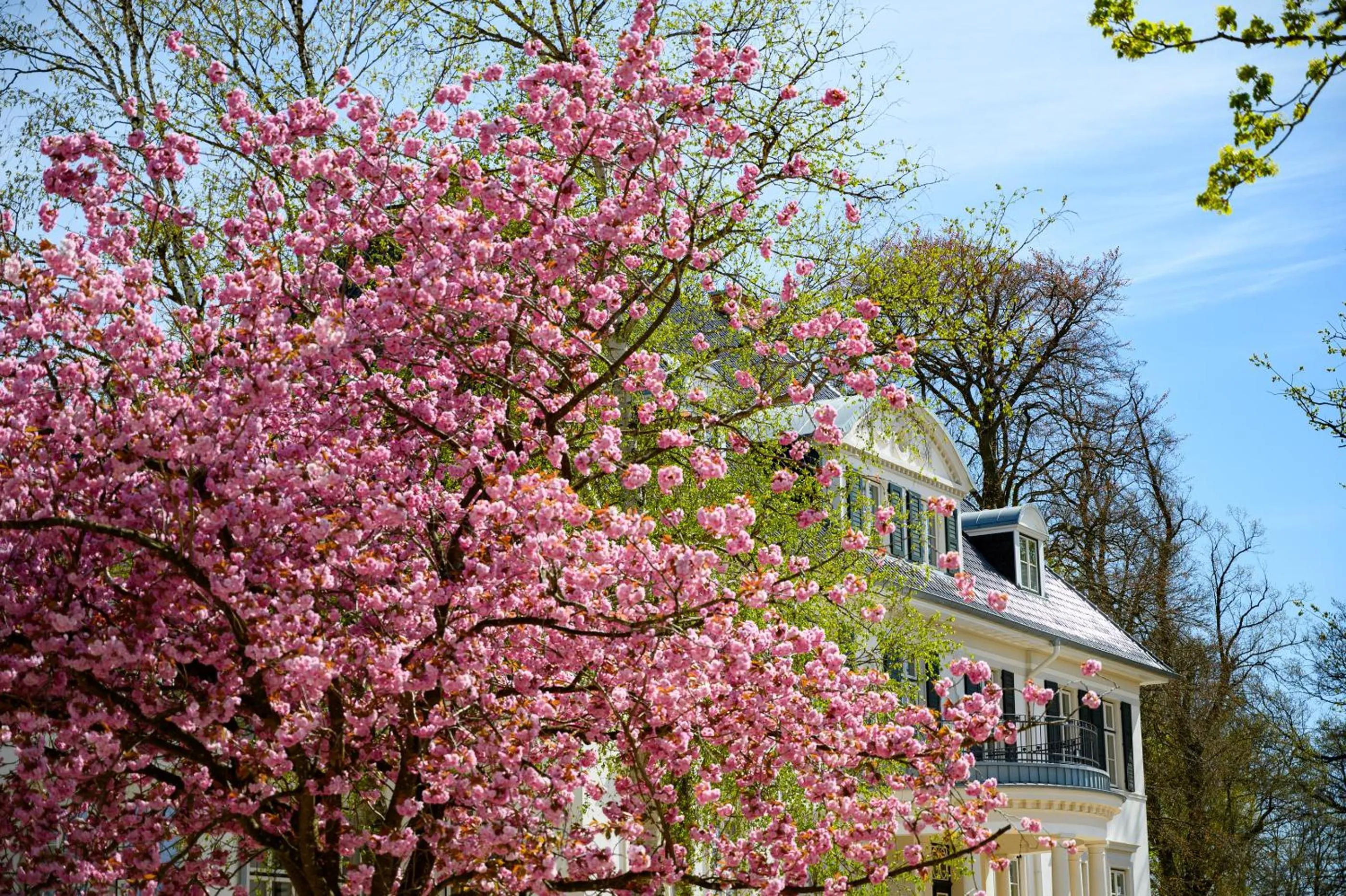 Property building in Hotel Gut Immenhof