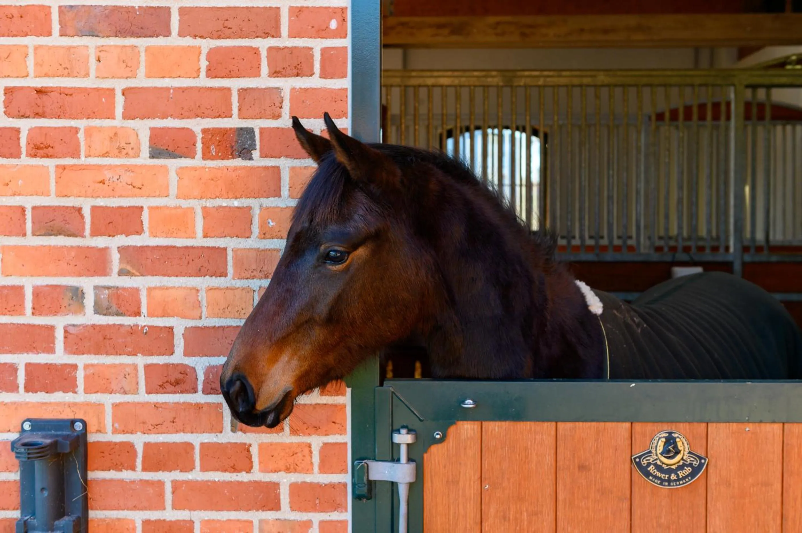 Activities in Hotel Gut Immenhof