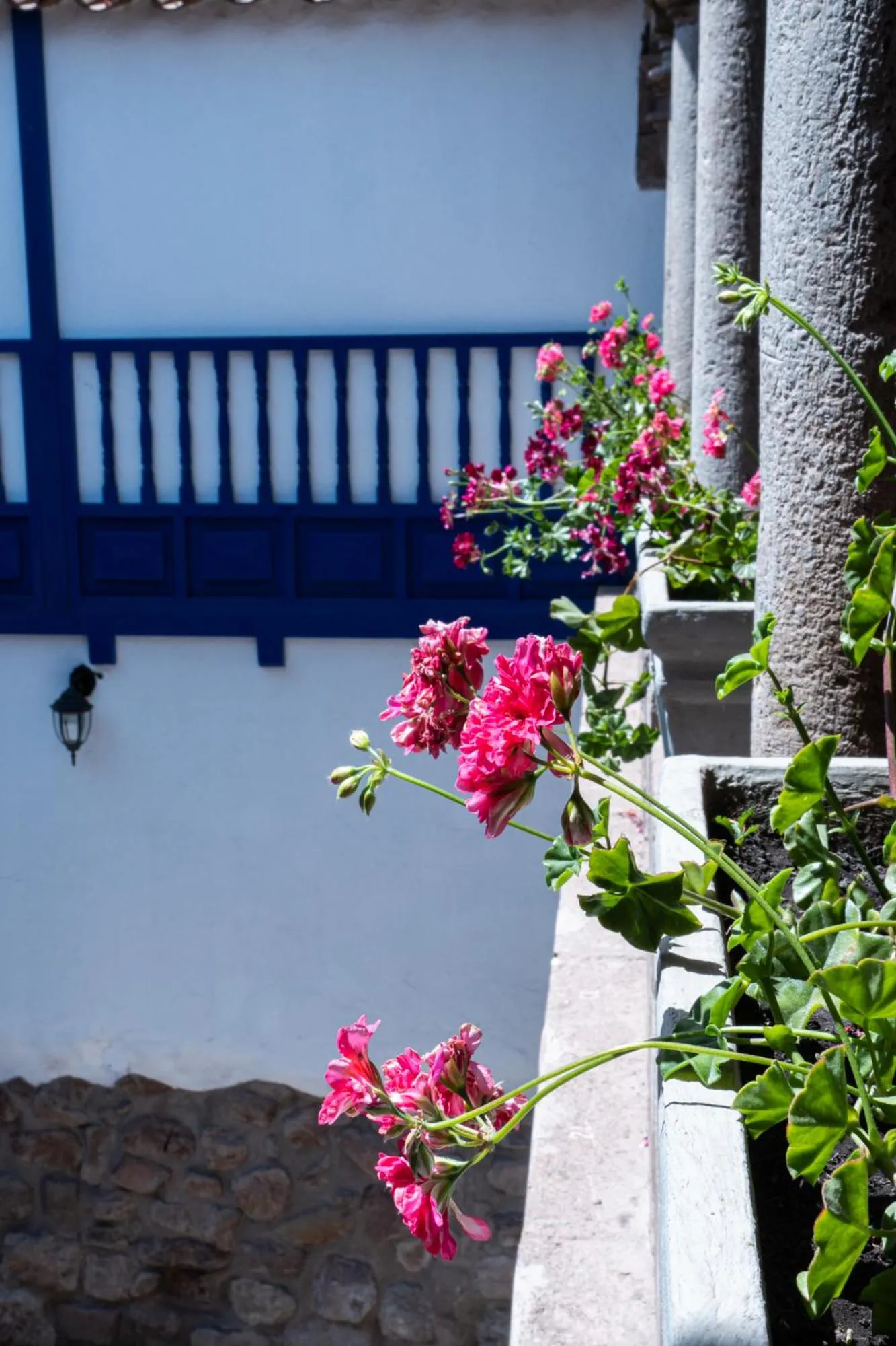 Spring in Estancia San Pedro Hotel