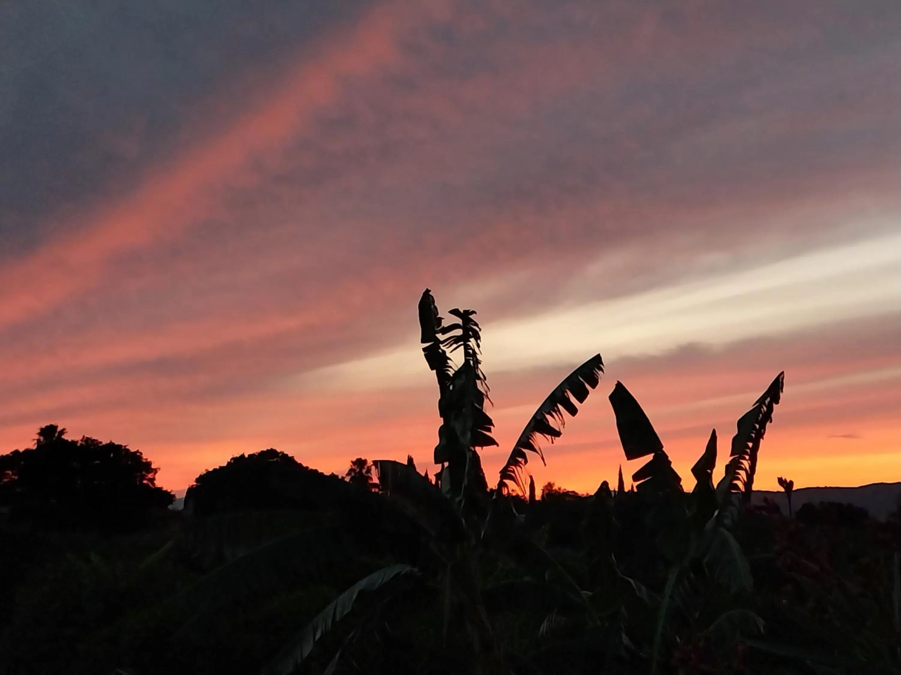 Finca Sueño de Vida