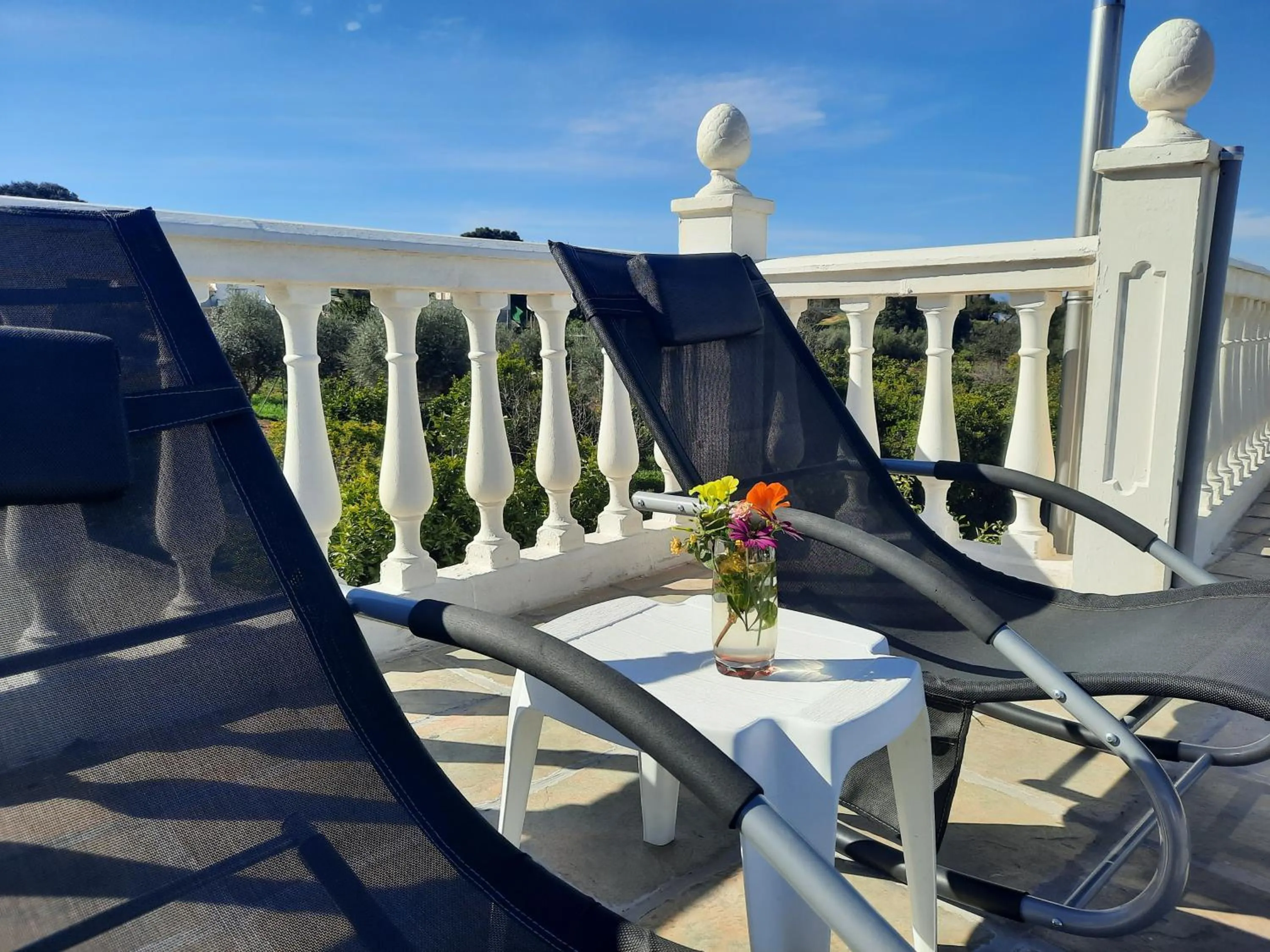 Seating area in Finca Sueño de Vida