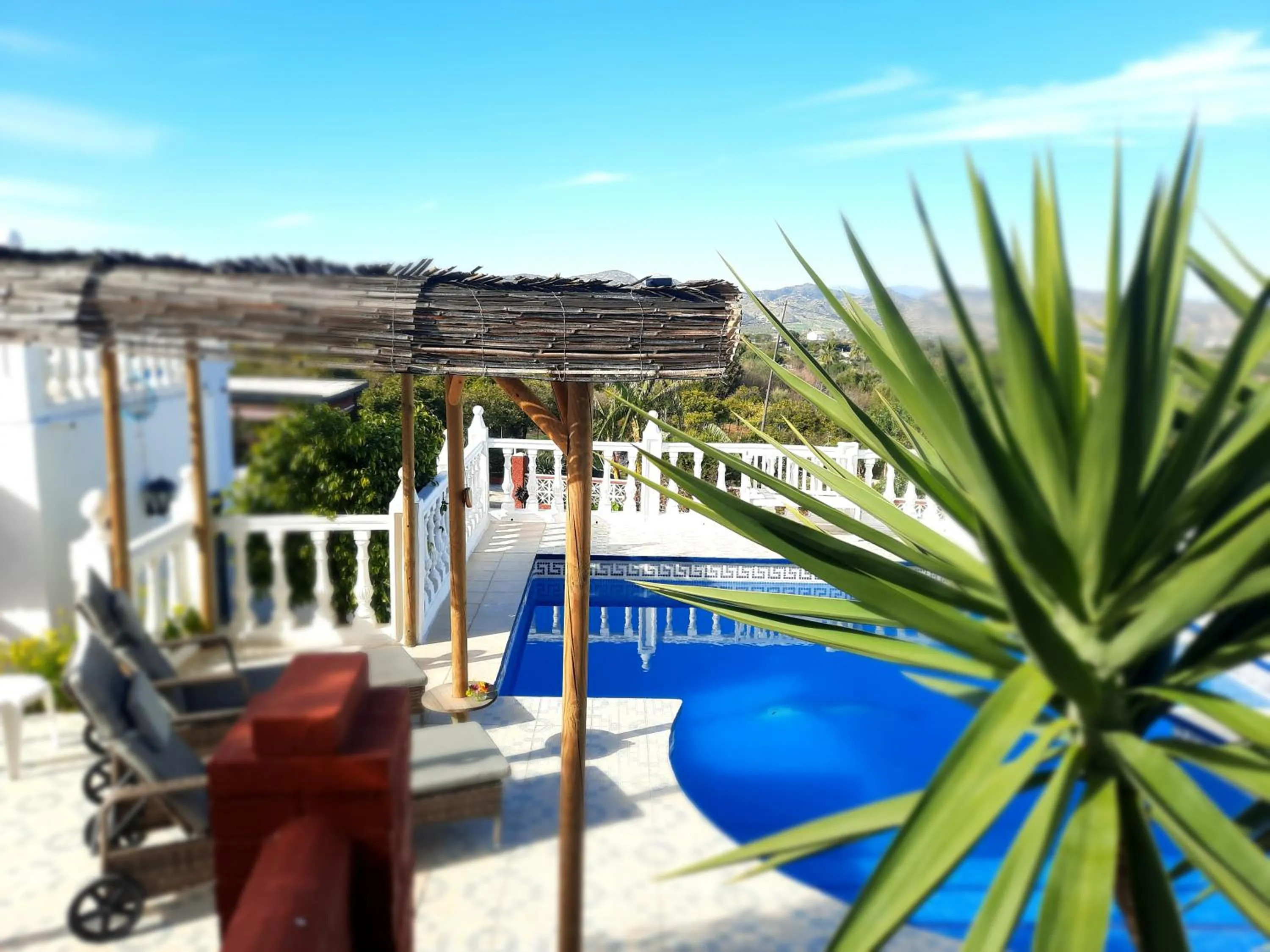 Pool view in Finca Sueño de Vida