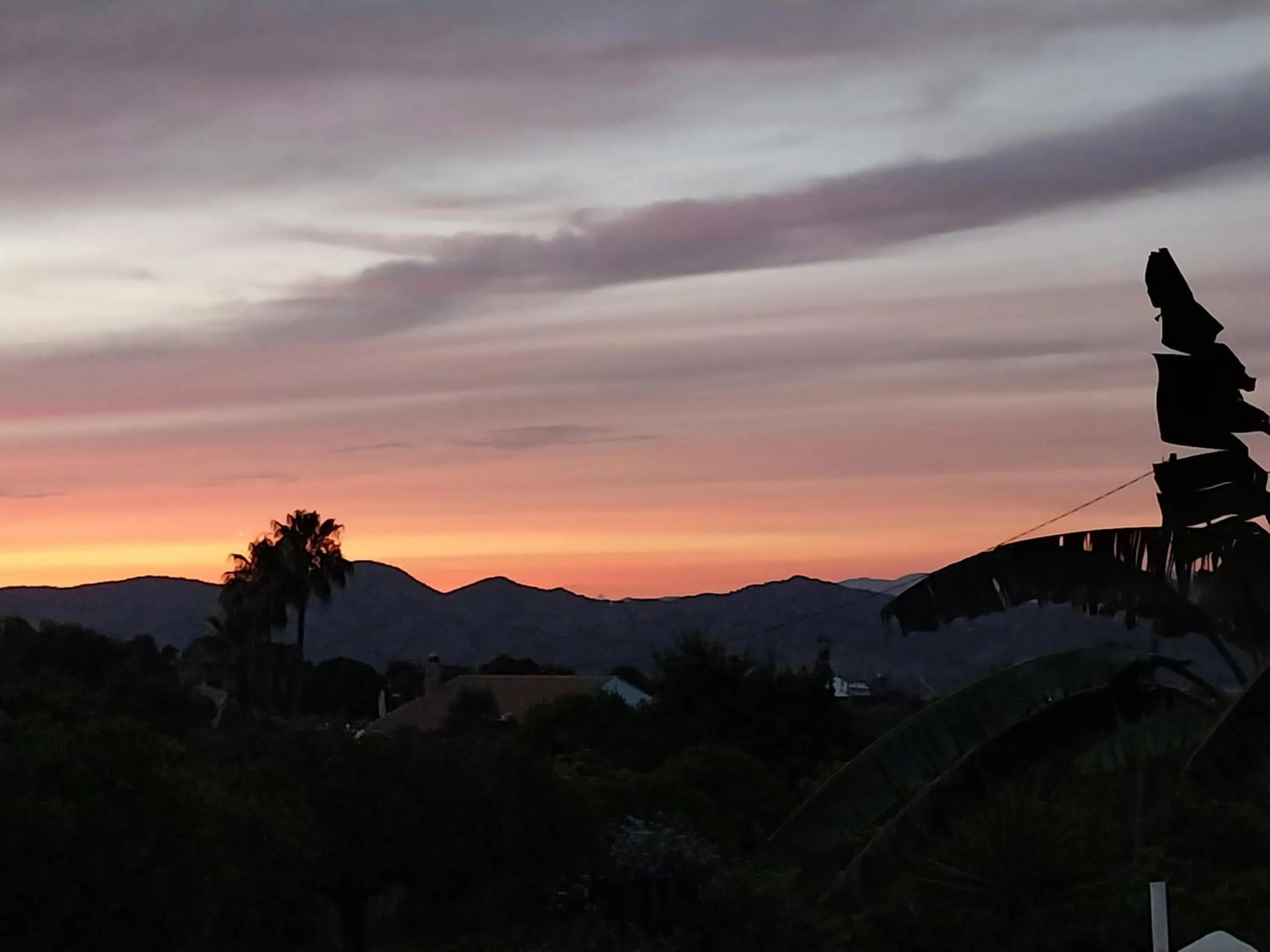 Finca Sueño de Vida